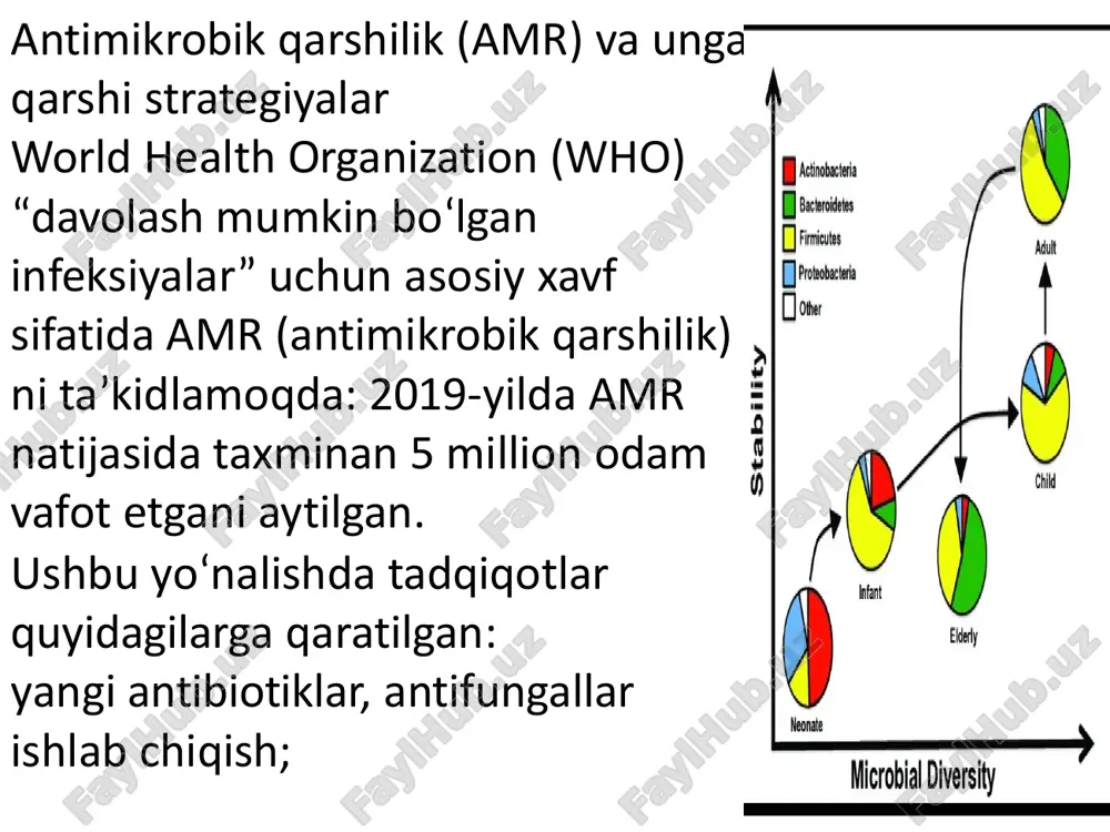 ni kuzatish, ularning turli holatlarda (masalan antibiotikka qarshi holatlar) qanday javob berishini ko‘rish imkoniyati vujudga kelmoqda. genomik va funksional analizlar mikroorganizmlarning genetik potentsialini, metabolik yo‘llarini va ekotizimdagi rolini ochish uchun ishlatilmoqda. talabalar uchun tavsiya: “metagenomika vs klassik kultur usullari” deb qisqa solishtirish kiritish, qaysi hollarda metagenomika afzal ekanini ko‘rsatish. sun’iy biologiya va sintetik mikrobiologiya sintetik biologiya — mikroorganizmlarni maqsadli ravishda loyihalash va qayta dasturlash sohasini anglatadi. masalan, bioyoqilg‘i ishlab chiqarish, biologik plastmassa, tabiiy resurslarni qayta ishlash. bundan tashqari, mikroorganizmlarga genetik muhandislik qilish orqali yangi funktsiyalar berish: bundan ekotizim nazorati, atrof-muhit muhofazasi, sanoat bioteknologiyasi uchun foydalanish mumkin. diagnostika texnologiyalari, mikroskopiya va tezkor usullar mikroorganizmlarni tezkor aniqlash, identifikatsiyalash usullari (masalan mikrofluidika, bitta hujayra kuzatuvi, yuqori ruxsatli mikroskopiya) rivojlanmoqda. biologik namunalarni tezkor tahlil qilish — kasalliklarni tezroq aniqlashga, epidemiyalarga tezroq javob berishga yordam beradi. sintetik mikroorganizmlar bilan bog‘liq xavfsizlik va etika jihatlarini ham ko‘rib chiqish muhim — ya’ni “nima xavf tug‘dirishi mumkin?” degan …