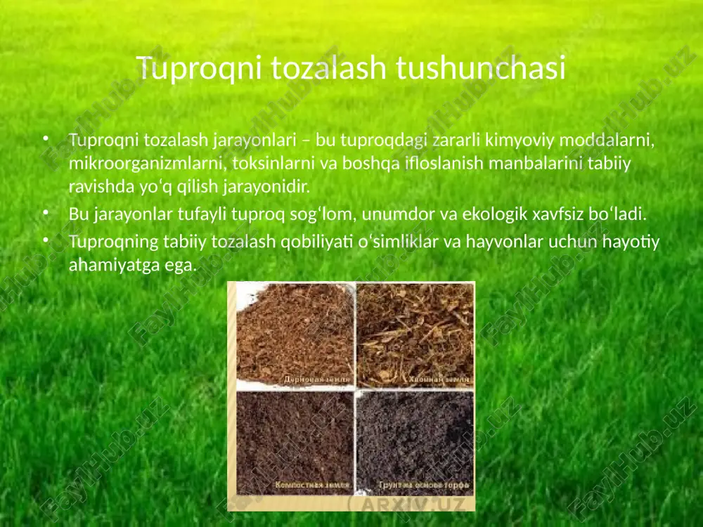 zarralari zararli kimyoviy moddalarni o‘z yuzasida ushlab qoladi. bu jarayon toksinlarning chuqur qatlamlarga tushishini oldini oladi. adsorbsiyalash tuproqni tozalashda juda muhim tabiiy jarayondir. tabiiy neytrallashtirish tuproq kislotali yoki ishqoriy moddalarni neytrallashtirish qobiliyatiga ega. shu bilan o‘simliklar va mikroorganizmlar uchun xavfsiz muhit yaratiladi. neytrallash jarayoni tuproqdagi biologik faoliyatni kuchaytiradi va o‘simliklarning sog‘lom o‘sishini ta’minlaydi. suvning filtrlash xususiyati tuproq sekin suvni o‘tkazadi, shu bilan iflos moddalarning oqimini kamaytiradi. suvdagi chang va toksinlar tuproq tomonidan ushlab qoladi. shu tariqa tuproq va suv havzalari tabiiy ravishda tozalanadi, o‘simliklar va hayvonlar uchun sog‘lom muhit yaratiladi. tabiiy aerasiyalash tuproq havoni oladi, kislorod bilan to‘yingan bo‘ladi. mikroorganizmlar faoliyati yaxshilanadi, ularning organik moddalarni parchalanish qobiliyati oshadi. tuproq havosining tabiiy aylanishi uning sog‘lomligini saqlashga yordam beradi va o‘simlik ildizlari uchun muhimdir. organik moddalar parchalanishi qoldiq o‘simlik va hayvon moddalar tuproq bakteriyalari va zamburug‘lari tomonidan asta-sekin parchalab chiqiladi. natijada tuproq organik moddalar bilan boyiyadi va unumdorligi oshadi. bu jarayon tuproqning …
