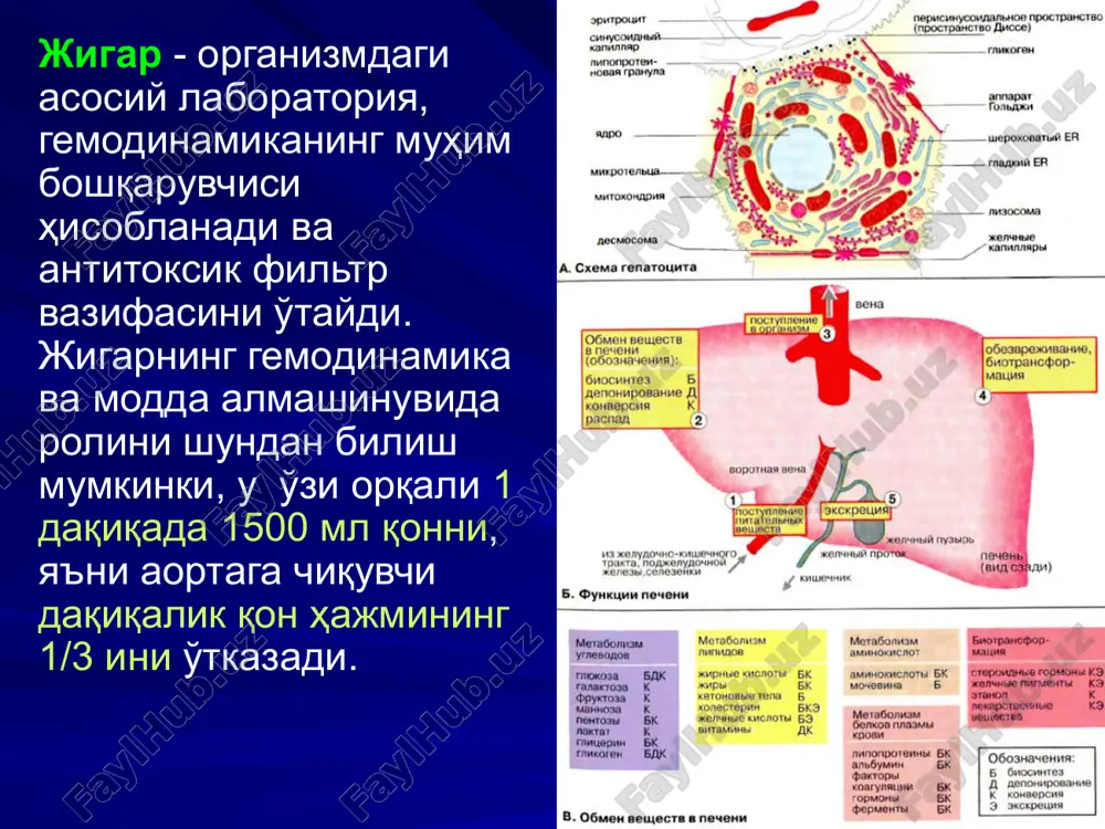 lides/_rels/slide78.xml.rels ppt/slides/_rels/slide77.xml.rels ppt/slides/_rels/slide76.xml.rels ppt/slides/_rels/slide75.xml.rels ppt/slides/_rels/slide63.xml.rels ppt/slides/_rels/slide62.xml.rels ppt/slides/_rels/slide61.xml.rels ppt/slides/_rels/slide50.xml.rels ppt/slides/_rels/slide49.xml.rels ppt/slides/_rels/slide48.xml.rels ppt/slides/_rels/slide47.xml.rels ppt/slides/_rels/slide46.xml.rels ppt/slides/_rels/slide45.xml.rels ppt/slides/_rels/slide44.xml.rels ppt/slides/_rels/slide43.xml.rels ppt/slides/_rels/slide51.xml.rels ppt/slides/_rels/slide52.xml.rels ppt/slides/_rels/slide53.xml.rels ppt/slides/_rels/slide60.xml.rels ppt/slides/_rels/slide59.xml.rels ppt/slides/_rels/slide58.xml.rels ppt/slides/_rels/slide57.xml.rels ppt/slides/_rels/slide56.xml.rels ppt/slides/_rels/slide55.xml.rels ppt/slides/_rels/slide54.xml.rels ppt/slides/_rels/slide41.xml.rels ppt/slides/slide56.xml ppt/slides/slide28.xml ppt/slides/slide29.xml ppt/slides/slide30.xml ppt/slides/slide31.xml ppt/slides/slide32.xml ppt/slides/slide33.xml ppt/slides/slide34.xml ppt/slides/slide35.xml ppt/slides/slide27.xml ppt/slides/slide26.xml ppt/slides/slide25.xml ppt/slides/slide18.xml ppt/slides/slide19.xml ppt/slides/slide20.xml ppt/slides/slide21.xml ppt/slides/slide22.xml ppt/slides/slide23.xml ppt/slides/slide24.xml ppt/slides/slide36.xml ppt/slides/slide37.xml ppt/slides/slide38.xml ppt/slides/slide49.xml ppt/slides/slide50.xml ppt/slides/slide51.xml ppt/slides/slide52.xml ppt/slides/slide53.xml ppt/slides/slide54.xml ppt/slides/slide55.xml ppt/slides/slide48.xml ppt/slides/slide47.xml ppt/slides/slide46.xml ppt/slides/slide39.xml ppt/slides/slide40.xml ppt/slides/slide41.xml ppt/slides/slide42.xml ppt/slides/slide43.xml ppt/slides/slide44.xml ppt/slides/slide45.xml ppt/slides/slide17.xml ppt/slides/slide16.xml ppt/slides/slide15.xml ppt/slides/slide73.xml ppt/slides/slide72.xml ppt/slides/slide71.xml ppt/slides/slide70.xml ppt/slides/slide69.xml ppt/slides/slide3.xml ppt/slides/slide4.