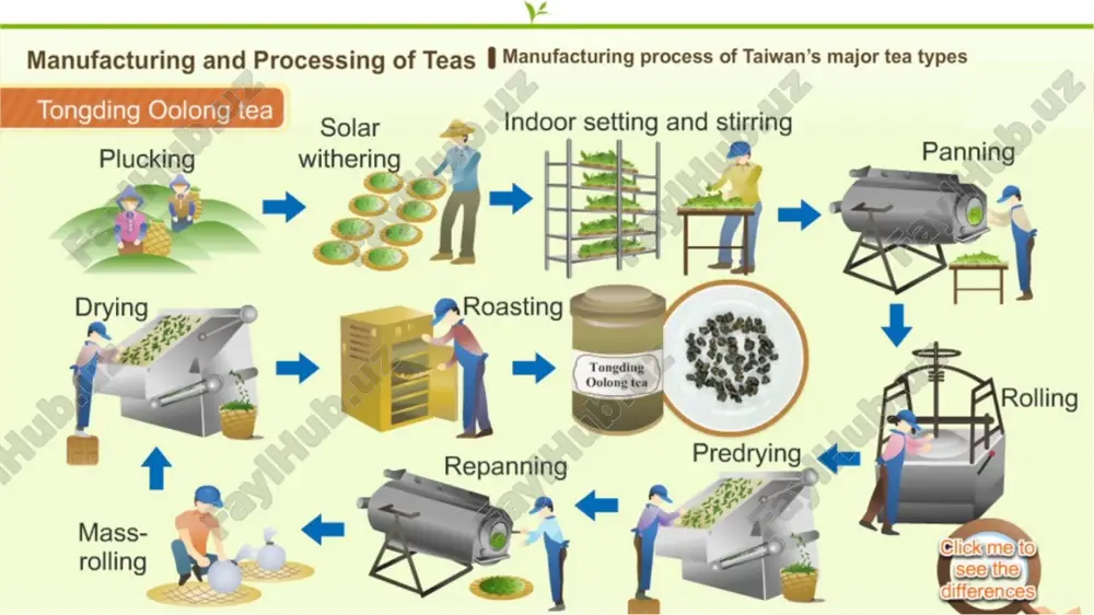 l processes (for specialty teas) • green tea processing: typically, green tea undergoes a steaming or pan-firing process immediately after harvesting to prevent oxidation. • oolong tea processing: oolong tea is partially oxidized, requiring careful management of oxidation levels. • white tea processing: made from young buds and leaves, white tea is minimally processed, often simply dried. image1.jpeg image2.jpeg image3.jpeg /docprops/thumbnail.jpeg