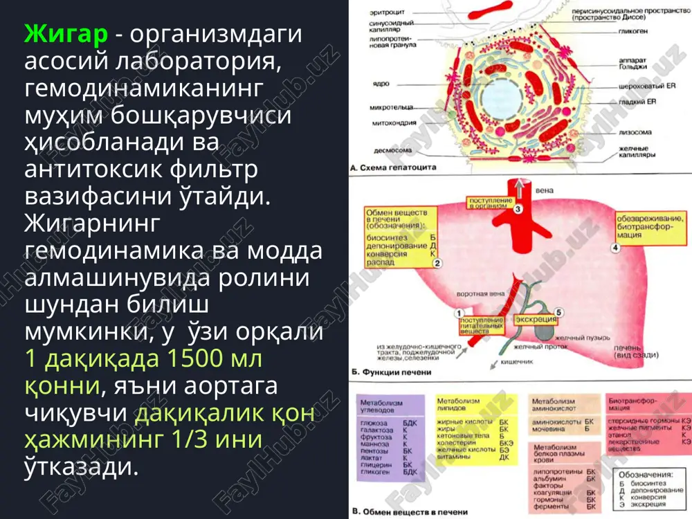 xml ppt/slides/_rels/slide13.xml.rels ppt/slides/slide14.xml ppt/slides/_rels/slide14.xml.rels ppt/slides/slide15.xml ppt/slides/_rels/slide15.xml.rels ppt/slides/slide16.xml ppt/slides/_rels/slide16.xml.rels ppt/slides/slide17.xml ppt/slides/_rels/slide17.xml.rels ppt/slides/slide18.xml ppt/slides/_rels/slide18.xml.rels ppt/slides/slide19.xml ppt/slides/_rels/slide19.xml.rels ppt/slides/slide20.xml ppt/slides/_rels/slide20.xml.rels ppt/slides/slide21.xml ppt/slides/_rels/slide21.xml.rels ppt/slides/slide22.xml ppt/slides/_rels/slide22.xml.rels ppt/slides/slide23.xml ppt/slides/_rels/slide23.xml.rels ppt/slides/slide24.xml ppt/slides/_rels/slide24.xml.rels ppt/slides/slide25.xml ppt/slides/_rels/slide25.xml.rels ppt/slides/slide26.xml ppt/slides/_rels/slide26.xml.rels ppt/slides/slide27.xml ppt/slides/_rels/slide27.xml.rels ppt/slides/slide28.xml ppt/slides/_rels/slide28.xml.rels ppt/slides/slide29.xml ppt/slides/_rels/slide29.xml.rels ppt/slides/slide30.xml ppt/slides/_rels/slide30.xml.rels ppt/slides/slide31.xml ppt/slides/_rels/slide31.xml.rels ppt/slides/slide32.xml ppt/slides/_rels/slide32.xml.rels ppt/slides/slide33.xml ppt/slides/_rels/slide33.xml.rels ppt/slides/slide34.xml ppt/slides/_rels/slide34.xml.rels ppt/slides/slide35.xml ppt/slides/_rels/slide35.xml.rels ppt/slides/slide36.xml ppt/slides/_rels/slide36.xml.rels ppt/slides/slide37.xml ppt/slides/_rels/slide37.xml.rels ppt/slides/slide38.xml ppt/slides/_rels/slide38.xml.rels ppt/slides/slide39.xml ppt/slides/_rels/slide39.xml.rels ppt/slides/slide40.xml ppt/slides/_rels/slide40.xml.rels ppt/slides/slide41.xml ppt/slides/_rels/slide41.xml.rels ppt/slides/slide42.xml ppt/slides/_rels/slide42.xml.rels ppt/slides/slide43.xml ppt/slides/_rels/slide43.xml.rels ppt/slides/slide44.xml ppt/slides/_rels/slide44.xml.rels ppt/slides/slide45.xml ppt/slides/_rels/slide45.xml.rels ppt/slides/slide46.xml ppt/slides/_rels/slide46.xml.rels ppt/slides/slide47.xml ppt/slides/_rels/slide47.xml.rels ppt/slides/slide48.xml p