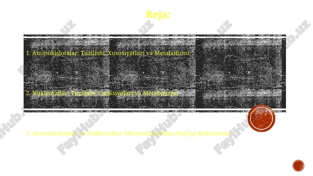 ; bu jarayon jigarda sodir bo'lib, siydik tsikliga kirish uchun zarur, aks holda 2nh3+co2->(nh2)2co+h2o. siydik tsikli: azotni yo'qotish mexanizmi siydik tsikli, karbamoyl fosfat sintetaza i fermenti orqali boshlanib, mitoxondriyada ammiak va bikarbonatdan karbamoyl fosfat hosil bo'lishini katalizlaydi. urea tsikli argininni gidrolizlab, urea va ornitin hosil qiladi; urea buyraklar orqali chiqariladi, ornitin esa siklni davom ettirish uchun mitoxondriyaga qaytadi. fenilalanin va tirozin metabolizmi fenilalanin gidroksilazasi fenilalaninni tirozinga aylantiradi, bu jarayon tetrahidrobiopterin (bh4) kofaktori yordamida amalga oshiriladi va bu ferment etishmovchiligi fenilketonuriyaga olib kelishi mumkin. tirozin melanin, dopamin, norepinefrin va epinefrin kabi muhim biomolekulalar sintezida ishtirok etadi, bu moddalar pigmentatsiya, neyrotransmitterlar va gormonal regulyatsiya uchun zarurdir. triptofan metabolizmi triptofan metabolizmi serotonin va melatonin kabi muhim neyrotransmitterlarning sintezida markaziy o'rin tutadi, ularning hosil bo'lishi tetrahidrobiopterin (bh4) kabi ko'faktorlarni talab qiladi. kynurenin yo'li triptofanning asosiy katabolik yo'nalishi bo'lib, nikotinamid adenin dinukleotid (nad+) kabi muhim molekulalarni ishlab chiqaradi va taxminan 95% triptofan shu yo'l orqali …