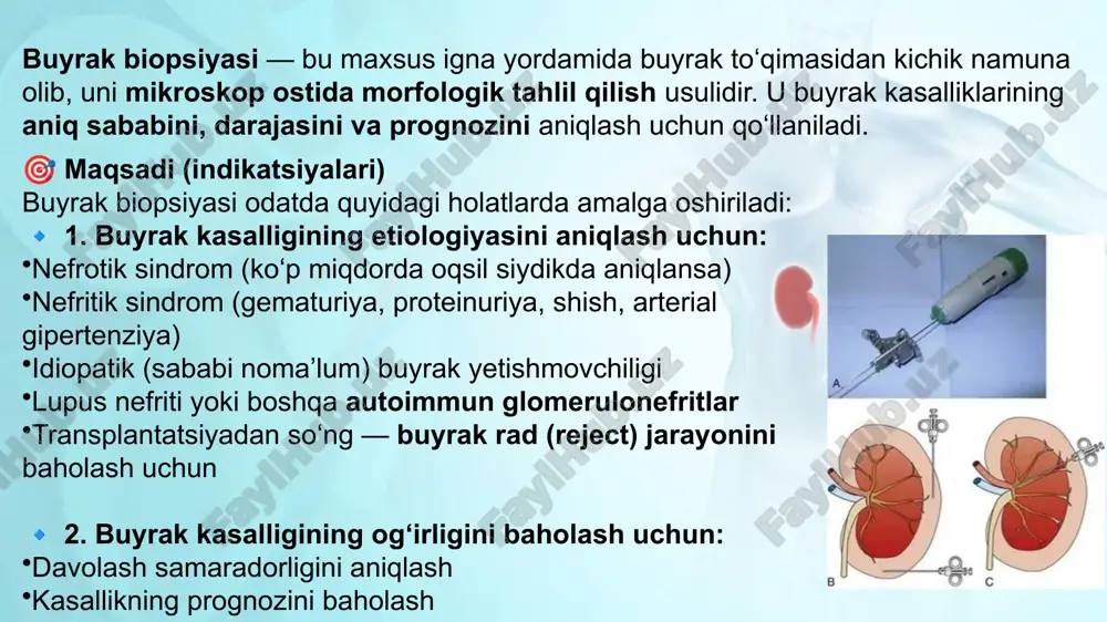 onefroz, - kavernöz buyrak, - buyrak tuberkulyozi. nisbiy kontrendikatsiyalar: - og'ir diastolik gipertenziya (110 mm hg dan yuqori), - og'ir buyrak etishmovchiligi, - umumiy aterosklerozning rivojlangan bosqichi, - periarterit tugunlari, - ko'p miyelom, - nefroptoz, - buyrakning patologik harakatchanligi. biopsiya turlari perkutan (ignali) biopsiya — eng keng tarqalgan. u ultratovush (uz) yoki kt nazorati ostida amalga oshiriladi. ochiq (jarrohlik) biopsiya — jarrohlik yo‘l bilan, bevosita buyrak to‘qimasidan namun olish. transyugulyar biopsiya — asosan qon ivish tizimi buzilgan yoki yakkaligi bo‘lgan bemorlarda jigar yoki buyrak venasi orqali bajariladi. buyrak biopsiyasining qanday turlari mavjud? perkutan (teri orqali) biopsiya. u ultratovush yoki rentgen tekshiruvi ostida buyraklar orqali teri orqali kiritilgan igna yordamida amalga oshiriladi. ba'zida shifokorga buyrak va muhim qon tomirlarini aniqlashga yordam berish uchun tomirlarga kontrast agenti yuboriladi. ochiq buyrak biopsiyasi - bu buyrak to'qimalarining namunalarini yig'ish uchun ishlatiladigan usul. ochiq buyrak biopsiyasi - bu umumiy behushlik ostida operatsiya xonasida operatsiya vaqtida …