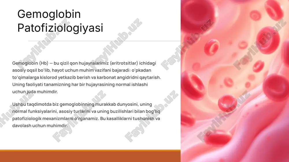 n patologiyalarining asosiy guruhlari: kvantitativ buzilishlar gemoglobin miqdorining o‘zgarishi turli xil klinik holatlarga olib keladi. anemiya: gemoglobin kamayishi bu holatda gemoglobin miqdori normal darajadan past bo‘ladi, bu esa to‘qimalarga kislorod yetkazib berilishining buzilishiga olib keladi. polisitemiya: gemoglobin ko‘payishi gemoglobin miqdorining yuqori darajada bo‘lishi qonning quyuqlashishiga olib keladi va qon aylanishiga salbiy ta'sir ko‘rsatadi. anemiyaning sabablari: o‘tkir/surunkali qon yo‘qotish (travma, oshqozon yarasi). temir yetishmovchiligi (dietadagi kamchilik, malabsorbsiya). vitamin b12 yoki folat yetishmovchiligi (megaloblastik anemiya). gemolitik jarayonlar (eritrotsitlarning muddatidan oldin parchalanishi). natija: umumiy holsizlik, bosh aylanishi, rangparlik, hansirash, hatto hushsizlik. 5 polisitemiyaning sabablari: asosiy (polisitemia vera): suyak ko‘migining kasalligi, eritrotsitlar, leykotsitlar va trombotsitlar giperproduksiyasi. ikkilamchi: baland tog‘ sharoiti, surunkali o‘pka kasalliklari, yurak yetishmovchiligi kabi surunkali gipoksiya holatlari. gemoglobinopatiyalar: sifat buzilishlari gemoglobinopatiyalar gemoglobin molekulasining genetik nuqsonlari natijasida kelib chiqadigan kasalliklardir. bu kasalliklarda gemoglobinning tuzilishi yoki sintezi buziladi. 1 1. o‘roqsimon hujayrali anemiya (hbs) beta-zanjirda genetik mutatsiya sodir bo‘ladi, natijada eritrotsitlar kislorod tanqisligida o‘roq …