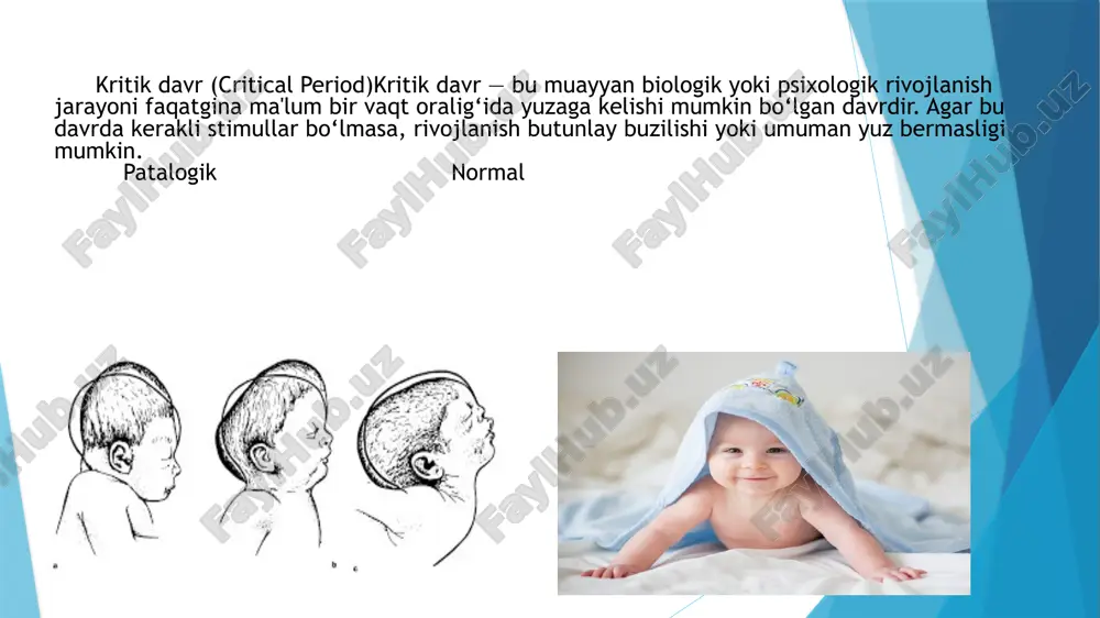 al, ammo muqarrar bo‘lmagan davrdir.ikkala tushuncha ham bola rivojlanishini chuqur tushunish, ta’lim va sog‘liqni saqlash siyosatlarini samarali yo‘lga qo‘yishda muhim ahamiyatga ega. e’tiboringiz uchun rahmat!... image1.png image2.png image3.png image4.png image5.png image6.png /docprops/thumbnail.jpeg