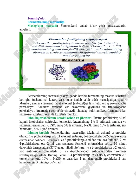 ay holat amilaza fermenti bilan saxaroza (substrati) orasida kuzatish mumkin. ishni bajarish uchun kerakli asbob va jihozlar: shtativ, probirkalar, 50 ml hajmli likobchalar, spirtovka, termostat, kraxmalning 1% li eritmasi, amilaza va saxaraza fermentlari, cuso4 ning 5% li eritmasi, naoh ning 10% li eritmasi, suv hammomi, 5 % li yod eritmasi. ishning tartibi: fermentlarning maxsusligi tekshirish uchun4 ta probirka olinadi.1-2 probirkalarga 2-3 ml kraxmal eritmasi, 3-4 probirkalarga 2-3 ml saxaroza eritmasidan solinadi. so’ngra 1- va 3-probirkalarga 2 ml dan amilaza fermenti, 2- va 4-probirkalarga esa 2 ml dan saxaraza fermenti eritmasidan solib, 10 minut davomida termostatga 370c ga qo’yiladi. so’ngra 1-va 2-probirkalarga 1-2 tomchi yod eritmasidan tomiziladi. 3- va 4-probirkadagi eritmalar bilan trommer reaktsiyasi qo’yiladi. buning uchun 3-4-probirkalarga 5% cuso4 eritmsidan 2-3 tomchi, so’ngra 10% li naoh eritmasidan 1 ml dan quyib probirkalarni suv hammomiga 5 minutga qo’yiladi.