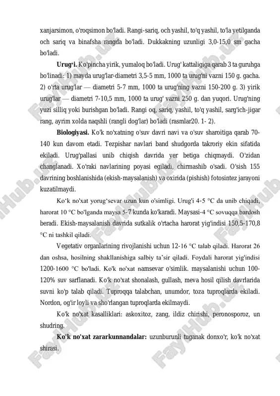 hatnaydi, oson yanchiladi. dukkakning shakli xanjarsimon, o'roqsimon bo'ladi. rangi-sariq, och yashil, to'q yashil, to'la yetilganda och sariq va binafsha rangda bo'ladi. dukkakning uzunligi 3,0-15,0 sm gacha bo'ladi. urug‘i. ko'pincha yirik, yumaloq bo'ladi. urug' kattaligiga qarab 3 ta guruhga bo'linadi: 1) mayda urug'lar-diametri 3,5-5 mm, 1000 ta urug'ni vazni 150 g. gacha. 2) o'rta urug'lar — diametri 5-7 mm, 1000 ta urug'ning vazni 150-200 g. 3) yirik urug'lar — diametri 7-10,5 mm, 1000 ta urug' vazni 250 g. dan yuqori. urug'ning yuzi silliq yoki burishgan bo'ladi. rangi oq, sariq, yashil, to'q yashil, sarg'ich-jigar rang, ayrim xolda naqshli (rangli dog'lar) bo'ladi (rasmlar20. 1- 2). biologiyasi. ko'k no'xatning o'suv davri navi va o'suv sharoitiga qarab 70- 140 kun davom etadi. tezpishar navlari band shudgorda takroriy ekin sifatida ekiladi. urug'pallasi unib chiqish davrida yer betiga chiqmaydi. o'zidan changlanadi. xo'raki navlarining poyasi egiladi, chirmashib o'sadi. o'sish 155 davrining boshlanishida (ekish-maysalanish) va oxirida (pishish) fotosintez jarayoni …