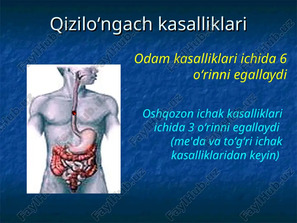 qism bronx osti qismi retroperikardial qism diafragma usti qismi diafragma ichi qismi abdominal qism qizilo‘ngach tuzilishi qizilo‘ngach anatomiyasi bo‘yin qismi ichki qism a. yuqorigi ko‘krak qismi b. o‘rta ko‘krak qismi. c. pastki ko‘krak qismi qizilo‘ngachning qon bilan ta'minlanishi va limfatik yo‘llari qalqonsimon bezning pastki arteriya shoxlari ko‘krak aortasi shohlari bronxial arteriyalar chap oshqozon arteriyasi yuqoriga ko‘tariluvchi shohi metastazlarni tarqalish yo‘llari qizilo‘ngach tekshirish usullari rentgenologik tekshirish usuli endoskopik tekshirish usullari radioizotop tekshirish usullari(tashqi va bo‘shliqga kirish bilan) ultratovush tekshirish usuli qizilo‘ngach ichi ph-metriyasi qizilo‘ngach motorikasini tekshirish kompyuter tomografiya qizilo‘ngachni endoskopik tekshirish usuli qizilo‘ngachni rentgenologik tekshirish usuli qizilo‘ngach kasalliklari tasnifi i. rivojlanish nuqsonlari 1. tug‘ma qizilo‘ngach atreziyasi va qizilo‘ngach-traxeal oqmalar 2. qizilo‘ngach tugma stenozlari 3. qizilo‘ngach tugma membranoz diafragmasi 4. tug‘ma kalta qizilo‘ngach 5. tug‘ma ezofageal kistalar 6. tomirlar anomaliyasi ii. jarohatlar 1. travmatik jarohatlar – tashqi va ichki 2. qizilo‘ngach kuyishi va uning asoratlari iii. qizilo‘ngach kasalliklari 1. divertikullar - pulsion …