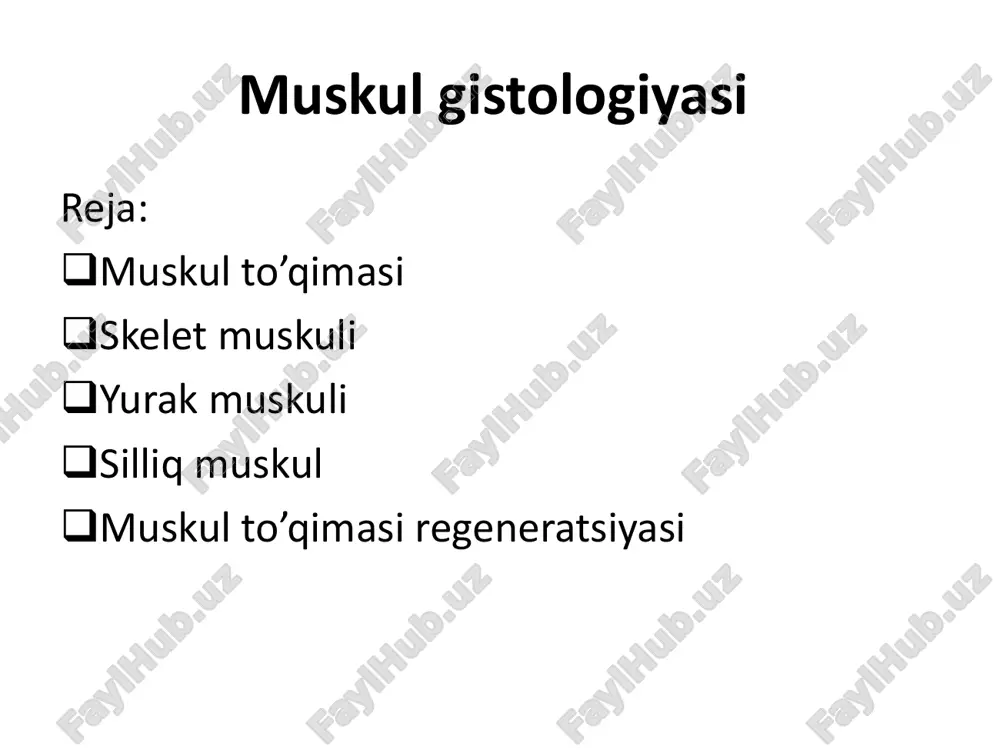 azmolemma §sitoplazma gialoplazma organllalar kiritmalar-glikogen §yadro ko’p periferiyada omuskul tolasining tuzilishi miofibrillalar • yadroning periferiyada joylashishiga sabab miosimplastlarning kata qismini (70% ga yaqinini) miofibrilla tashkil qiladi • yorug’lik mikroskopi ostida mushak tolalarining bo’ylama kesimida och va to’q yo’llar a va i disklarning ketma-ket joylashuvi bilan bog’liq ko’ndalang targ’illik ko’rinadi. (miofibrillalar muskulga mana shu xususiyatni beradi) i disk (izotrop – nur qaytaradi) § och bo’yaluvchi § electron mikroskop ostida har bir i disk to’q bo’yaluvchi z chiziq yordamida 2 bo’lingan a disk (anizotrop – nur qaytarmaydi) § qoramtir bo’yaladi § markazda oq h zona bor § h zonada esa qoramtir m liniya joylashgan sarkomer – 2ta z chiziq orasida joylashgan ya’ni: • z chiziq • ½ i disk • 1ta a disk • ½ i disk • z chiziqda tugaydi tinch holatda uzunligi – 2,5 mkm miofilamentlar § miofibrillalar miofilamentlardan iborat § miofilamentlar ingichka miofilamentlar (aktinli) yo’g’on miofilamentlar (miozinli) 1) telofragma …