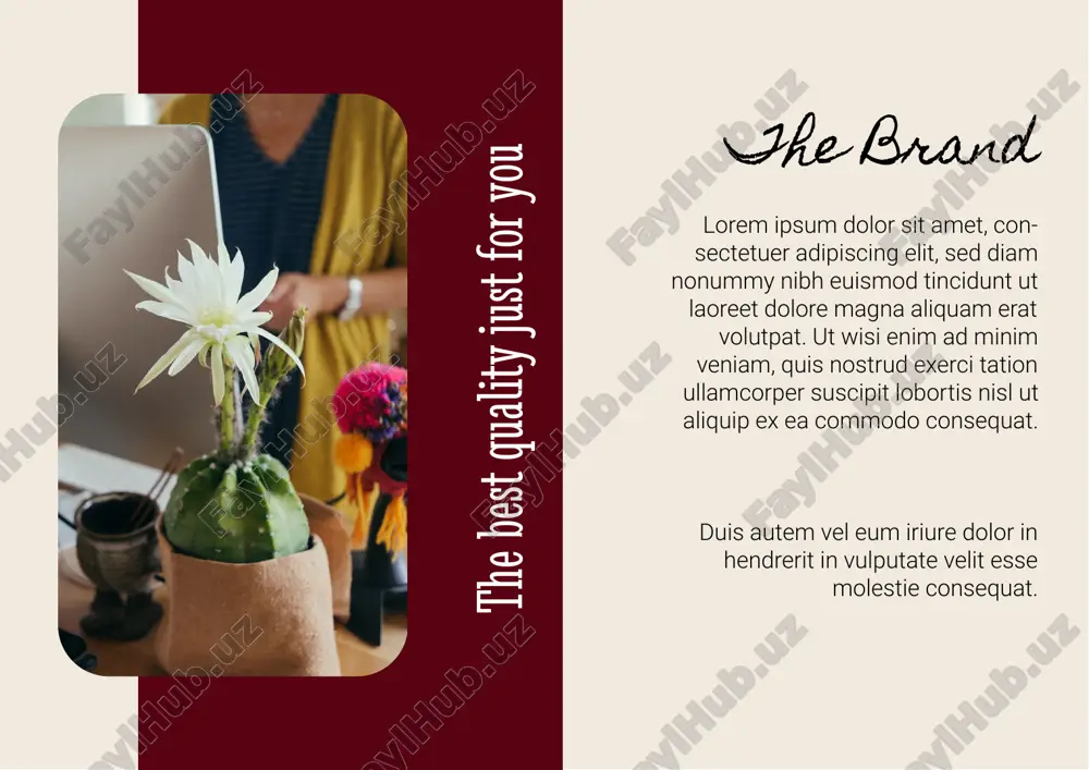m, quis nostrud exerci tation ullamcorper suscipit lorem ipsum dolor sit amet, consectetuer adipiscing elit, sed diam nonummy nibh euismod tincidunt ut laoreet. our products will inspire you our vision lorem ipsum dolor sit amet, consectetuer adipiscing elit, sed diam nonummy nibh euismod tincidunt ut laoreet dolore magna aliquam erat volutpat. ut wisi enim ad minim veniam, quis nostrud exerci tation ullamcorper suscipit lobortis nisl ut aliquip ex ea commodo consequat. products with the best quality just for you.