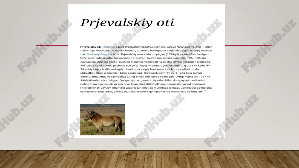 prjevalski ot - Page 2