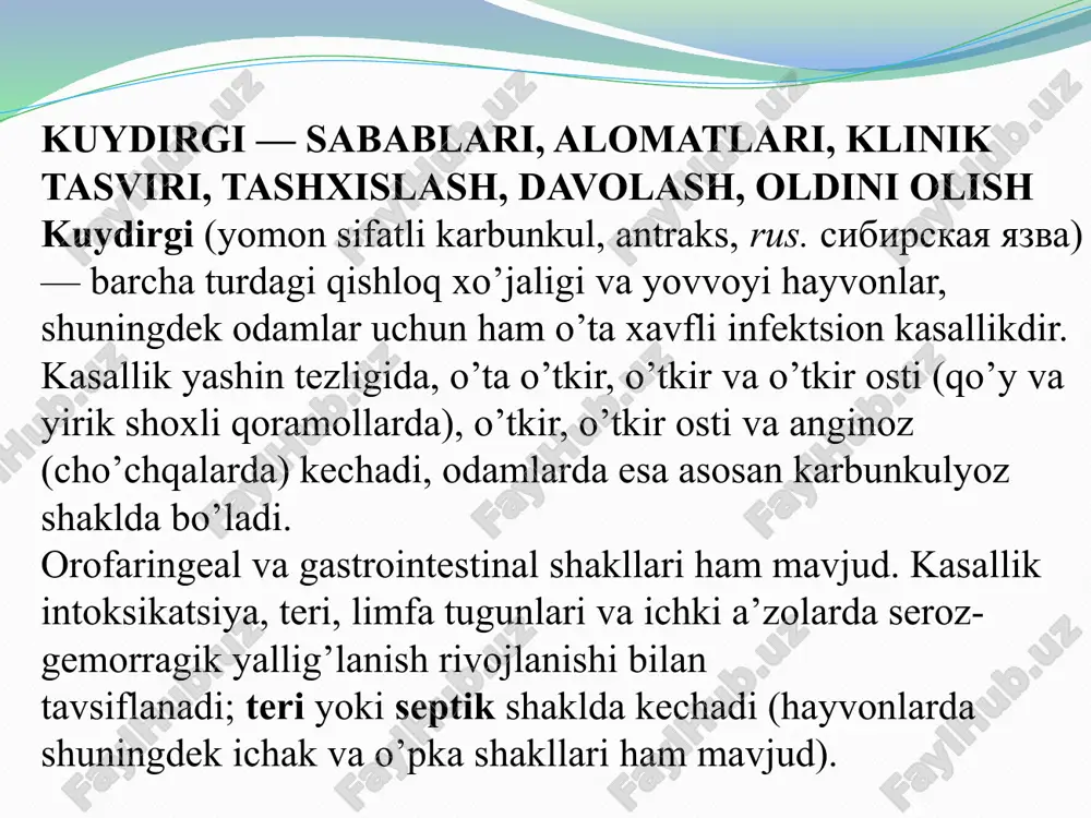-qora tusdaligi tufayli berilgan. kuydirgi kasalligining qo’zg’atuvchisi — bacillus anthracis batsillasi. u o’zi bilan spora hosil qiluvchi, kattaligi 5-10 × 1-1,5 mkm bo’lgan grammusbat tayoqchani taqdim etadi. kuydirgi batsillasi go’sht-peptonli muhitda yaxshi o’sadi, kapsulali va somatik antigenlar saqlaydi va ekzotoksin ajratishga qodir, ekzotoksin oqsilli kompleks bo’lib, shish chaqiradigan (samf konsentratsiyasining ortishi), protektiv (hujayra membranasi bilan o’zaro ta’sirlanib, boshqa komponentlarning faoliyatiga yordam beradi) va letal (sitotoksik effekt, o’pka shishishi) komponentlardan tashkil topgan. kapsula — antifagotsitar faollik. kuydirgi bakteriyalari organizmdan tashqarida kislorodga yo’l bo’lganida spora hosil qiladi, buning natijasida yuoqri harorat, quruqlik va dezinfektsiyalovchi vositalarga qarshi yuqori chidamlilikka ega bo’ladi. kuydirgi bakteriyalarining sporalari ko’p yillar davomida saqlanib turishi mumkin; kasallangan hayvonlarning axlati va siydigi bilan zararlangan yaylovlar uzoq yillar davomida kuydirgi sporalarini saqlashi mumkin. kuydirgi tayoqchasining vegetativ shakllari qaynatilganda va oddiy dezifenktsiyalovchi moddalar ta’siri ostida tezda nobud bo’ladi. avtoklavlash vaqtida 110 °c da sporalar qirq daqiqadan so’ng nobud bo’ladi, quruq issiqlik bilan …