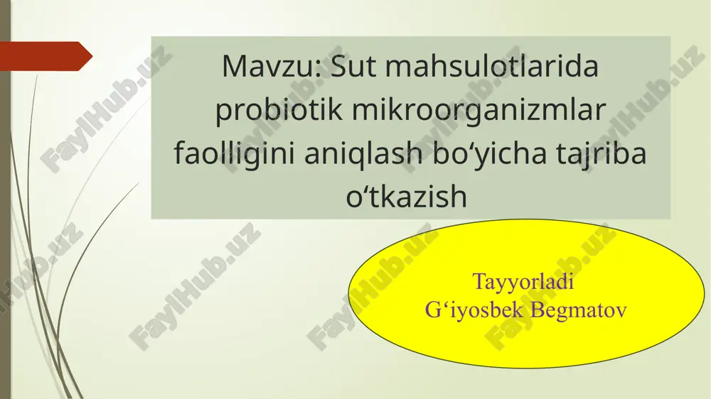 tik faollik ko‘rsatkichi sifatida baholanadi. 3. tajriba natijalarini tahlil qilish va xulosa chiqarish natijalar asosida sut mahsulotlarining probiotik faolligi taqqoslanadi. eng ko‘p o‘sish kuzatilgan mahsulotda probiotik bakteriyalar soni yuqori deb baholanadi. shuningdek, ularning morfologik xususiyatlari va faoliyat darajasi tahlil qilinadi. tajriba natijasida qaysi sut mahsulotlari sog‘lom ichak mikroflorasini tiklashda samaraliroq ekanligi aniqlanadi. o‘tkazilgan tajribalar shuni ko‘rsatadiki, sut mahsulotlari probiotik mikroorganizmlar uchun muhim manba hisoblanadi. ularning faolligini aniqlash nafaqat mahsulot sifatini baholash, balki inson salomatligi uchun foydali bakteriyalarni ko‘paytirish imkonini ham beradi. shu bois, tabiiy probiotik sut mahsulotlarini iste’mol qilish sog‘lom turmush tarzining muhim qismi sanaladi. zarur jihozlar va materiallar sut (200–500 ml) starter madaniyat (yogurt bakteriyalari: lactobacillus bulgaricus va streptococcus thermophilus) termostat yoki suv hammom (37–45°c) petri idishlari va agar muhit (mrs agar) pipetka, probirkalar mikroskop, lam va lamel yogurt tayyorlash jarayoni 3.1. sutni tayyorlash sutni 85–90°c gacha qizdirish (pasteurizatsiya) – patogen mikroorganizmlarni yo‘q qilish va proteinlarni denaturatsiya qilish. sutni …