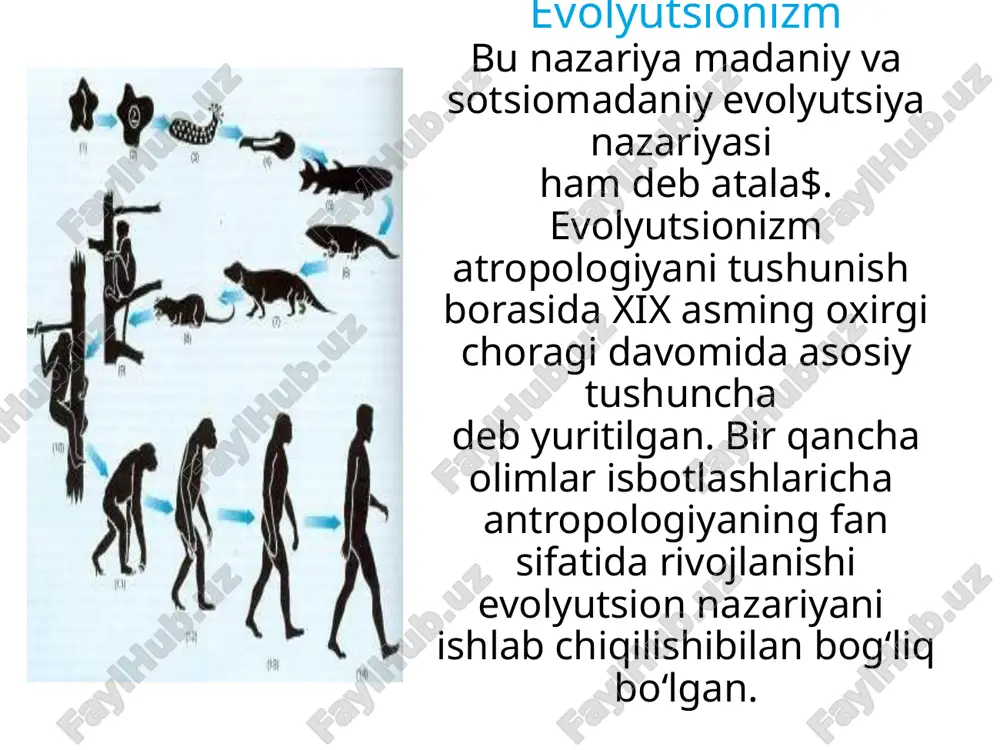 al yondashuvning ildizlari fransuz oliiftari o.kont va e.dyurkgeym, ingliz olimlari b.malinovskiy va a.radkliff-braunlaming asarlarida ko‘rsatib o‘tilgan funksional nazariyaning kamchiligi shundaki, nima uchun jamiyat bir hil yoki turlicha ekanligini tushuntirib bera olmaganligida. funksionalist antropologlar dunyo tartibga kelishida raqobat va ziddiyatga kamroq e’tibor berishgan deb faraz qilish mumkin. bu nazariya jamiyatni barqaror va o‘zgarmas deb ko‘rib, ijtimoiy va madaniy o‘zgarishlami tushuntirib bera olmadi. shu kamchiliklarga qaramasdan funksionalizm atropologiyada empirik tadqiqotlarga katta xissa qo ‘ shgan.1 “shaxs va madaniyat” bu yo‘nalish psixologik antropologiya deb ham nomlanadi. bu yo‘nalish xx asming birinchi yarmidan boshlab tarix sohasidagi izlanishlarda muhim ahamiyat kasb eta boshlagan. “madaniyat va shaxs” yo‘nalishi tarafdorlari kishilar tomonidan ‘madaniyat shakllarining turli hususiyatlarini jamiyatga berishi mobaynida madaniyatni yanada tezroq rivojlanishiga ta’sir eta oladi, deb tushunishadi. bu nazariya madaniygrt integratsiyasi o‘sishi mexanizmi borasida izlanishlar olib boradi. strukturalizm strukturalizm antropologiyadagi tadqiq qilishning yangi turlaridan biri hisoblanadi. bu yo‘nalish madaniyatning tartibiy strukturasini o ‘rgatuvchi etnologiya va famzli …