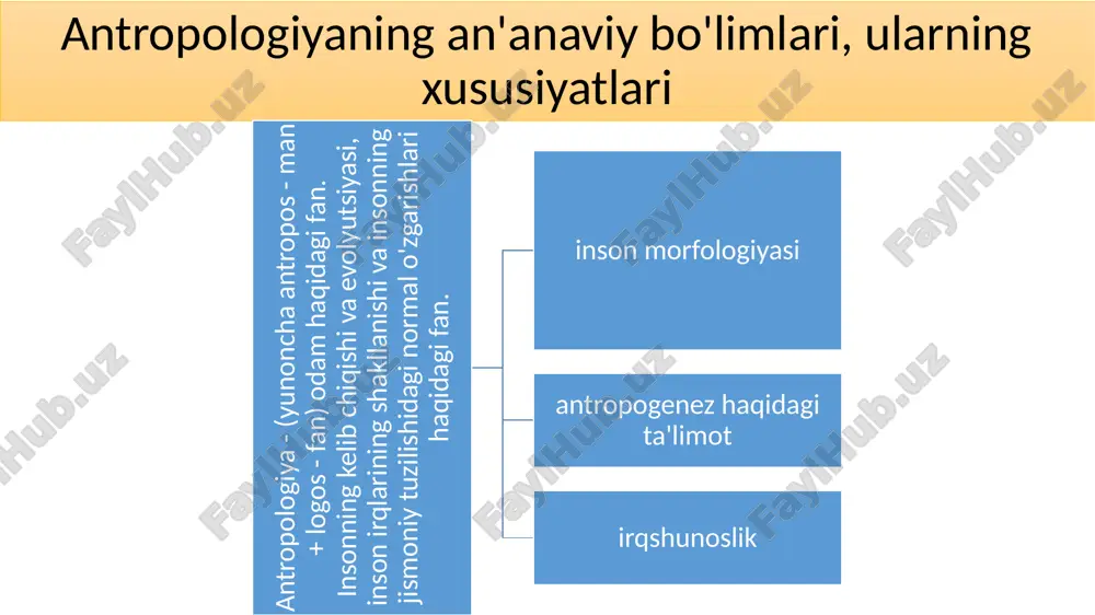 aymun va yarim maymunlarni o'rganish, 2) evolyutsion inson anatomiyasi, 3) paleoantropologiya, ya'ni odamning fotoalbom shakllarini o'rganish. bu bo'lim uchun zarur bo'lgan yordamchi fanlar quyidagilardir: tabiatshunoslik fanidan - to'rtinchi va uchinchi davrlar geologiyasi, yuqori asab faoliyati fiziologiyasi; ijtimoiy -tarixiy fanlardan - paleolit ​​arxeologiyasi; falsafiy fanlardan - psixologiya. irqshunoslik (irqiy tadqiqotlar odamlarning irqlari o'rtasidagi o'xshashlik va farqlarni o'rganadi) irqiy tadqiqotlar yoki etnik antropologiya: irqning paydo bo'lish sabablari va tarixi irqiy turlarning tasnifi ularni er yuzida tarqatish · irqiy turlarning o'zgarishi naqshlari. antropologiya bo'limlari: 1. falsafiy 2. madaniy 3. ijtimoiy 4. jismoniy 5. tibbiy falsafiy antropologiya - insonning mohiyatini, kelib chiqishi va dunyodagi o'rnini tushunish va tushuntirishga qaratilgan. yigirmanchi asrda shakllangan zamonaviy falsafiy antropologiya odamni bilim ob'ekti va barcha hodisalarning asosiy sababi deb hisoblaydi. k. k. helvetiusning "inson haqida" asari i. kant "antropologiya" i. kant to'rt asosiy savolga javob beradigan falsafa: men nimani bilsam bo'ladi? nima qilishim kerak? men nimaga umid qila olaman? …
