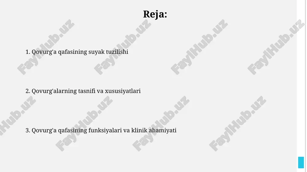 i umurtqa pog'onasidan boshlanib, qorin mushaklari ichida tugaydi. 11 va 12-qovurg'alarning xaftaga ega emasligi ularning harakatchanligini oshiradi va nafas olish, egilish va burilish harakatlarida qorin bo'shlig'ining hajmini moslashuvchan tarzda o'zgartirishga yordam beradi. qovurg'aning tipik tuzilishi qovurg'aning tipik tuzilishi bosh, bo'yin, tuberkulyoza va tanadan iborat bo'lib, bosh umurtqa pog'onasi bilan artikulyatsiya hosil qiladi, tuberkulyoza esa ko'ndalang jarayon bilan bo'g'im hosil qiladi. qovurg'a tanasida ichki va tashqi yuzalar, shuningdek, yuqori va pastki qirralar mavjud; pastki qirrada interkostal tomirlar va nervlar o'tadigan qovurg'a novchasi (sulcus costalis) joylashgan. qovurg'a tog'aylari qovurg'a tog'aylari 1 dan 7 gacha bo'lgan qovurg'alarni to'g'ridan-to'g'ri to'sh suyagiga bog'laydi, bu qovurg'alarni "haqiqiy qovurg'alar" deb ataladi va ularning har biri alohida bog'lanishga ega. 8, 9 va 10-qovurg'alarning tog'aylari bevosita to'sh suyagiga birikmaydi; aksincha, ular yuqoridagi qovurg'aning tog'ayiga birikib, qovurg'a ravoqini hosil qiladi, bu esa ularni "soxta qovurg'alar"ga aylantiradi. to'sh suyagi: bo'limlar va xususiyatlar to'sh suyagining tutqichi (manubrium) yuqori qismida jugulyar o'yig'i va …