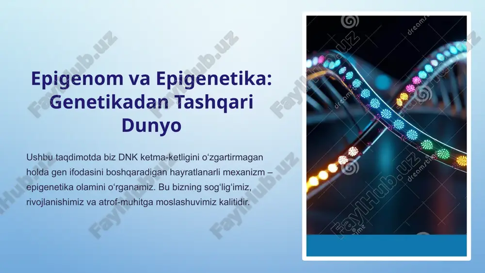 sita ta’minlaydi. stress va shikastlanish: surunkali stress giston modifikatsiyalarini o‘zgartirib, neyrotransmitter genlariga ta’sir qilishi mumkin. toksinlar: tamaki tutuni yoki og‘ir metallar epigenetik o‘zgarishlarga sabab bo‘lib, ba’zan bu o‘zgarishlar avloddan-avlodga o‘tishi mumkin. homiladorlik davridagi ona ovqatlanishi yoki stressi bolaning keyingi hayotida genetik ifodaga ta’sir qiladi. 6 epigenetika va kasalliklar rivojlanishi epigenetik mexanizmlardagi buzilishlar ko‘plab jiddiy kasalliklarning asosini tashkil etadi. saraton o‘simtalarni bostiruvchi genlarning metillanishi tufayli o‘chirilishi yoki o‘sishni rag‘batlantiruvchi genlarning faollashishi. metabolik kasalliklar qandli diabet va semizlik kabi holatlarda insulin sezgirligini boshqaruvchi genlarning noto‘g‘ri ishlashi. neyrodegenerativ altsgeymer va parkinson kabi kasalliklarda asab hujayralari sog‘lig‘i bilan bog‘liq genlarning epigenetik nazorati buzilishi. tadqiqotchilar epigenetik xatolarni to‘g‘irlash uchun yangi dori vositalarini yaratishga intilmoqda. 7 epigenom va qarish jarayoni barqaror epigenom yoshlikda epigenetik belgilar aniq va hujayra funktsiyalari optimal darajada saqlanadi. dnk metillanishining o'zgarishi yosh o‘tishi bilan dnk metillanishining umumiy darajasi kamayadi (gipometillanish), gen ifodasini beqaror qiladi. epigenetik soatlar olimlar dnk metillanish darajasini o‘lchab, odamning …