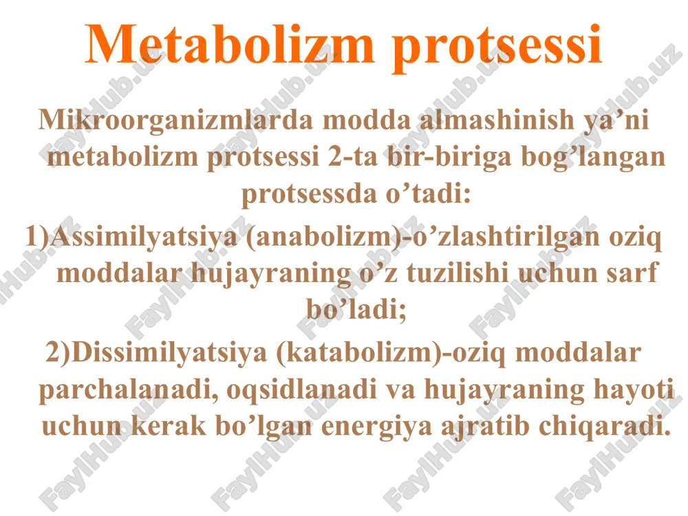 lar vitaminlar va boshqalar kiradi bakteriya xayotida kerakli boʼlgan elementlarga quyidagilar kiradi: c, h, o, n, p, s, k, ca, mg, fe oziq moddalar transporti oziq moddalar hujayra ichiga bir necha yoʼl bilan kiradi: 1) passiv diffuziya - bunda oziq muxit bilan mikrob hujayrasi oʼrtasidagi osmotik bosim va moddalar kontsentratsiyasi tenglashadi yoki mikrob hujayrasidagi moddaning kontsentratsiyasidan yuqori boʼladi ; 2) yengillashgan diffuziya - asosan permeaza fermenti yordamida boʼladi, bu ferment hujayraning sitoplazmatik membranasida joylashgan, spetsifik xususiyatga ega, energiya sarflanmaydi; 3) aktiv transport- permeazalar yordamida boʼladi, lekin energiya sarflanadi; 4)kimiyoviy gruppalar translokatsiyasi-baʼzi kimiyoviy moddalar radikallar holida oʼtadi oziq moddalar bakteriya hujayrasidan ikki xil yoʼl bilan chiqadi: passiv diffuziya yoʼli bilan yengillashgan diffuziya yoʼli bilan permeaza fermenti ishtirokida boʼladi oziq muhitlar oziq muhitlar tarkibida oddiy va murakkab birikmalar tutadi, shu birikmalarda bakteriyalar laboratoriya sharoitida koʼpaytirib olinadi oziq muhitlar bakteriya uchun quyidagi talablarga javob berishi kerak: bakteriyalarni koʼpayishi uchun zarur moddalar boʼlishi kerak …