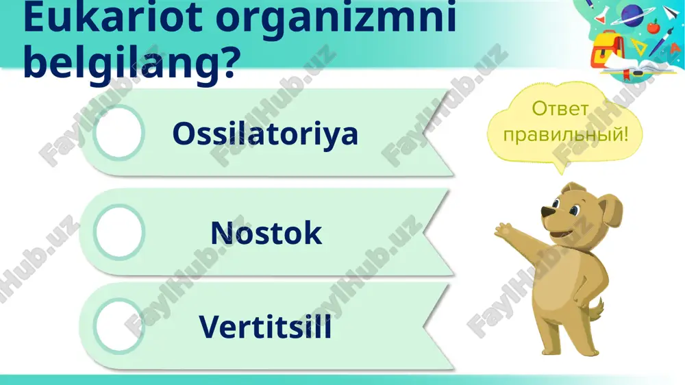 ikogen sintezi)da zaxira moddalar to‘planadigan hujayra (o‘simlik urug‘)larida ko‘p bo‘ladi. muskul hujayralarida silliq endoplazmatik to‘r muskul tolalarining qisqarishida ishtirok etadi. yadro silliq endoplazmatik to‘r donador endoplazmatik to‘r donador endoplazmatik to‘r donador endoplazmatik to‘rning muhim vazifasi oqsil sintezi va uni tashish bo‘lib, bu jarayonlarni ribosomalar bilan hamkorlikda amalga oshiradi. ribosomalar endoplazmatik to‘r membranasining ustki qismida dona-dona bo‘lib joylashgan. donador deb atalishi ham shu tuzilma bilan bog‘liq. donador endoplazmatik to‘r oqsil ko‘p sintezlanadigan hujayralarda yaxshi rivojlangan. yadro silliq endoplazmatik to‘r donador endoplazmatik to‘r ribosomalar ribosomalar erkin yoki endoplazmatik to‘rning tashqi yuzasiga birikkan holda joylashishi mumkin. ribosomalar diametri 15,0–35,0 nm bo‘lgan ikki, ya’ni katta va kichik bo‘lakchalardan iborat yassi tanachalardan tashkil topgan. ribosomalarda taxminan teng miqdorda oqsil va nuklein kislotalar mavjud. ribosoma yadrodagi yadrochadan sintezlanadi va sitoplazmaga chiqariladi. ribosomalarning asosiy vazifasi oqsil sintezlashdir. oqsil sintezi murakkab jarayon bo‘lib, uni faqat bitta ribosoma emas, balki bir necha o‘nlab ribosomalar amalga oshiradi. ularni poliribosomalar deb …