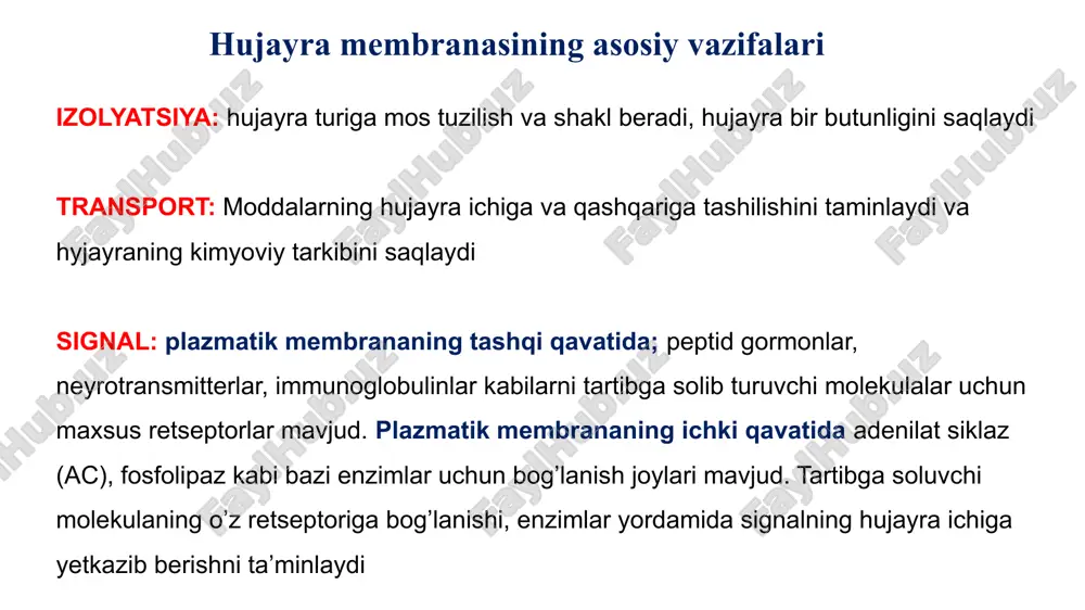 z) to’yinmagan (bir yoki ko’p qo’sh bog’li) yog’ kislotalari fosfoglitserid sfingomiyelin fosfolipidlar yog’ kislotasi yog’ kislotasi glitserol fosfat kislota alkol fosfoglitserid sfingomiyelinlar glitserol atomi bo’lmagan fosfolipiddir sfingomiyelin guruhining eng sodda vakili seramiddir tarkibida sfingozin mavjud bo’lgan sfingofosfolipidlar neyron membranasi ayniqsa miyelin pardasining eng muhim qurilish moddasidir glikolipidlar uglevodlarni oz ichiga oluvchi glikolipiddir hujayra membranasining yoğ qavatining tashqi qismida mavjud bo’ladi shakar guruhlari lioidlarga golji apparatida birikadi hujayra membranasidagi yo’larning 5% tashkil qiladi glikolipid xolesterinlar xolesterin molekulalari fosfolipidlar orasida joylashadi xolesterinning polar bosh qismi fosfolipidlarning bosh qismlariga yaqindir va fosfolipidning dum qismidagi bir nechta uglerod atomini harakatsiz holatga keltiradi. hujayra suyuqligini belgilaydi(sovuqda muzlamaydi, issiqda fosfolipidlarning yog’ kislotalari harakatini toxtatadi) membranani chidamli va cho’ziluvchan qiladi hujayrani o’tkazuvchanligini kamaytiradi xolesterinlar hujayra membranasining 40% qismini tashkil qiladi kichkina polar bolgan boshi unga amfipatik(gidrofil, gidrofob) xususiyatini beradi. hujayra membranasida joylashgan uglevodlar uglevodlar membrada oligosaxaridlar shaklida oqsillar bilan kovalent bog’lanib glikoproteinlarni, sfingolipidlar bilan birlashib glikolipidlarni hosil …