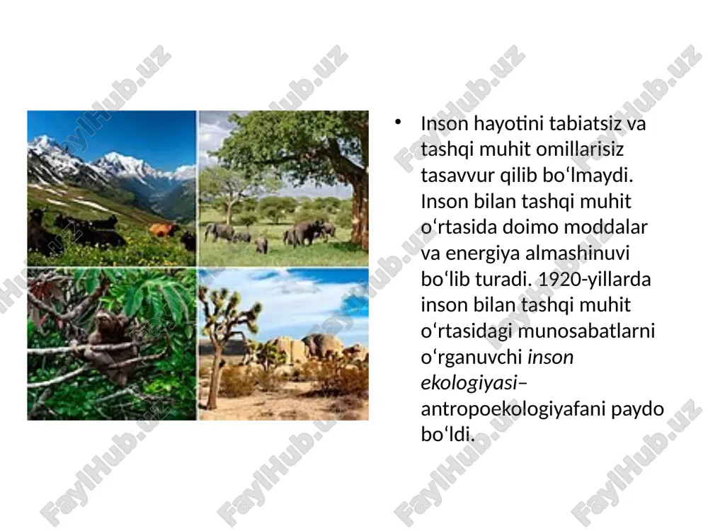 iy xarakterda ekanligidir. inson o‘z atrofida sun’iy muhit yarata olishi ham uni boshqa ekologik omillardan ajratib turadi. antropoekologiya fani antropoekologik sistemalarning shakllanishi, yashash va rivojlanish qonuniyatlari, shuningdek, insonning sog‘lom turmush tarzi me’yorlari, salomatligiga ta’sir etadigan (fizik, kimyoviy, biologik, ijtimoiy) omillarni keng miqyosda o‘rganadi. antropoekologik sistemalarda inson va tabiiy muhit o‘rtasidagi o‘zaro ta’siri quyidagi yo‘nalishlarda amalga oshiriladi: inson tabiiy boylik va ne’matlardan foydalanishi orqali rivojlanadi, shuningdek, jamoaning biologik va ijtimoiy ko‘rsatkichlari o‘zgaradi. inson tabiat qonunlarini o‘rganib, o‘z ehtiyojlarini qondirish maqsadida atrof-muhitni ongli ravishda o‘zgartiradi. insonlarning ekologik muhitga moslanishlari. adaptiv tiplar. tabiiy va sun’iy muhit omillari insonga doimo ta’sir ko‘rsatadi. sayyoraning turli joylarida insonga turli xil tabiiy omillar ta’sir ko‘rsatadi. inson rivojlanishi davomida yer kurrasi aholisining ekologik moslashuvi natijasida insonlarning adaptiv (moslashgan) tiplari kelib chiqqan. arktik adaptiv tip. sovuq iqlim va ko‘proq hayvon mahsulotlari bilan oziqlanish sharoitida shakllanadi. arktika xalqlari orasida ham o‘simliklar tarkibidagi c vitaminini kam iste’mol qilishga moslanish xususiyati rivojlangan. …
