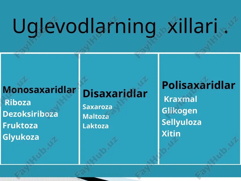 molekular massasi bir necha mingga, hatto milliongacha yetadi. polisaxaridlar monomeri monosaxaridlardan tashkil topgan gomopolimer moddalardir. ularning monomerlari o‘zaro glikozid bog‘lar orqali birikkan. s6n12o6 + s6n12o6 + s6n12o6 ..... + s6n12o6 = (s6n11o5)n + (n2o) n polisaxaridlarga kraxmal, kletchatka, selluloza, glikogen, xitin kiradi. kraxmal, kletchatka, sellulozaning monomerlari glukozadir. kraxmal o‘simliklar tanasida ko‘p to‘planadigan muhim polisaxaridlardan hisoblanadi. u o‘simlik donida ayniqsa ko‘p bo‘ladi. masalan, sholi va makkajo‘xori donida 80% gacha, bug‘doy donida 60–70% gacha, kartoshka tuganagida 20% gacha kraxmal bo‘ladi disaxarid va polisaxaridlar uglevodlar monosaxarid polisaxarid saxaroza disaxarid glyukoza riboza kraxmal uglevodlarning hosil bo’lishi 20 1ishga yarab qolsa ilming bir muddat ,yana oshirmoqga aylagin shiddat mirzo ulug’bek 2 o’quv qayda bo’lsa ,ulug’lik bo’lar ,bilim qayda bo’lsa ,buyuklik bo’lar yusuf xos hojib 3 aqlli bo’lishning o’zi yetarli emas ,eng asosiysi aqlni amalda qo’llay bilishdir. k.dekart . 4 dunyoda ilmdan boshqa najot yo’q va bo’lmagay. imom al-buxoriy 5 xoxish-istaksiz ta’lim oluvchi o’quvchi qanotsiz qush …