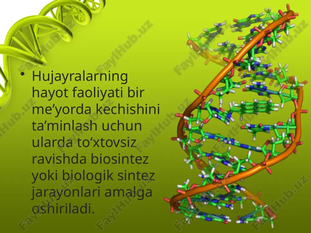 i lan va kislorodsiz muhitda — achish jarayonida amalga oshiriladi. natijada ajralib chiqqan energiya organizmning nafaqat faol holatidagi hayotiy vazifalarni bajarishga, balki tinch holatdagi talablarini qondi rish uchun ham sarflanadi. fermentlar yordamida oddiy kichik molekulali moddalardan murakkab yuqori molekulali birikmalar: aminokislotalardan oqsillar, monosaxaridlardan esa murakkab karbonsuvlar hosil bo‘ladi. azot asoslari nukleotidlar hosil qilishda ishtirok etadi va ulardan nuklein kislotalar shakllanadi. xuddi shu tartibda oddiy yog‘lardan murakkab yog‘lari paydo bo‘ladi. ular glitserin moddasi bilan reaksiyaga kirishib yog‘larni va moylarni hosil qiladi. biosintetik reaksiyalar har bir individ va turga xos bo‘lgan xususiyatlar asosida farqlanib turadi. natijada oqsil-fermentlar yorda mida hosil bo‘ladigan yirik organik molekulalar tuzilishi dnk tartibidagi nukleo tidlarning ketma-ketligi bilan aniqlanadi. bu esa o‘z navbatida mazkur hujayraning genlar to‘plami — genotip bilan bog‘liq. hosil bo‘lgan moddalar o‘sish jarayonida hujayra va ularning organoid larini hosil qilish hamda sarflangan yoki parchalangan molekulalarni tiklash uchun ishlatiladi. barcha sintez (hosil qiluvchi) reaksiyalarida energiyani sarflash ro‘y …