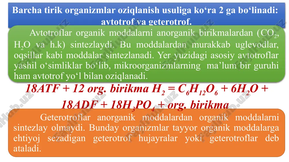 aerob sharoitda parchalanishidan hosil bo‘lgan energiyaning qancha miqdori kj atf ko‘rinishida to‘planadi? to‘liq va to‘liqsiz parchalanishda hosil bo‘ladigan e qanday taqsimlanishini va qancha atf hosil bo`lganligini yozamiz: to’liqsiz→200 kj to‘liq →2800 kj< sut kislotasi faqat anaerob (glikoliz)da ajraladi: 1 mol glukoza → 2 mol sut kislota hosil qilsa x mol glukoza ← 12 mol sut kislota x = 6 mol glukoza. aerob sharoitda 1 mol glukozadan 36 mol atf va 1440(36 x 40) kj e hosil bo‘ladi, shundan qancha miqdori atf da to‘planishini topamiz: 1 mol glukoza ________1440 kj atf dagi energiya 6 mol glukoza ________ x x = = 8640 kj e0 atf ko‘rinishida to‘planadi. 3 - masala xloroplastlarda jami 1440 kj energiya atf da jamlandi. shu energiya necha molekula glukoza sinteziga yetadi? dastlab atfda to‘plangan energiyadan atf miqdorini topamiz: n==36 mol atf. fotosintez umumiy reaksiya tenglamasidan foydalanib sintezlangan glukoza molekulasini topamiz: 6co2 + 18atf + 12 org. birikma …
