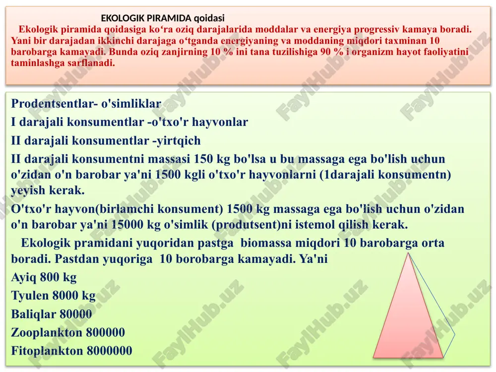 ii darajali konsumentning biomassasi 150 kg ga ortgan bo‘lsa, umumiy biomassani (kg) aniqlang, (ekologik piramidani o‘simlik-chigirtka-kaltakesak-burgut tashkil etadi) ekologik piramida o‘simliklar-quyonlar-lochinlardan iborat. lochinlarning ortgan massasi quyonlarnikidan 360 kg ga kam bo‘lsa, produtsentning biomassasini (kg) aniqlang. izoh: organizm masaasi 1 kg ga ortishi uchun 10 kg oziq iste`mol qilishi kerak ekologik piramidani bug‘doy-chigirtka-kaltakesak-lochin tashkil etadi. agar lochin ozuqasidagi uglevod 60 % bo‘lib, undan ajralgan energiya miqdori 5280 kj ni tashkil etsa bug‘doyning massasini tonnada toping. quyidagi oziq zanjiriga e`tibor bering. produtsentning massasi 1350 kg bo‘lib, uni sichqon va chivin teng miqdorda iste’mol qildi. lochinning tana massasi 4,5 kg ga ortgan bo‘lsa, sichqon va hasharotxo‘r qush massasi qanchaga farq qiladi. ekologik piramidani bug‘doy-pashsha-kaltakesak-lochin tashkil etadi. geterotroflarning umumiy massasi 2442 kg ni tashkil qilsa, produtsent va iii darajali konsumentning umumiy biomassasini aniqlang. ekologik piramidani bug‘doy-pashsha-kaltakesak-lochin tashkil etadi. geterotroflarning umumiy massasi 2442 kg ni tashkil qilsa, produtsent va iii darajali konsumentning umumiy biomassasini aniqlang. …