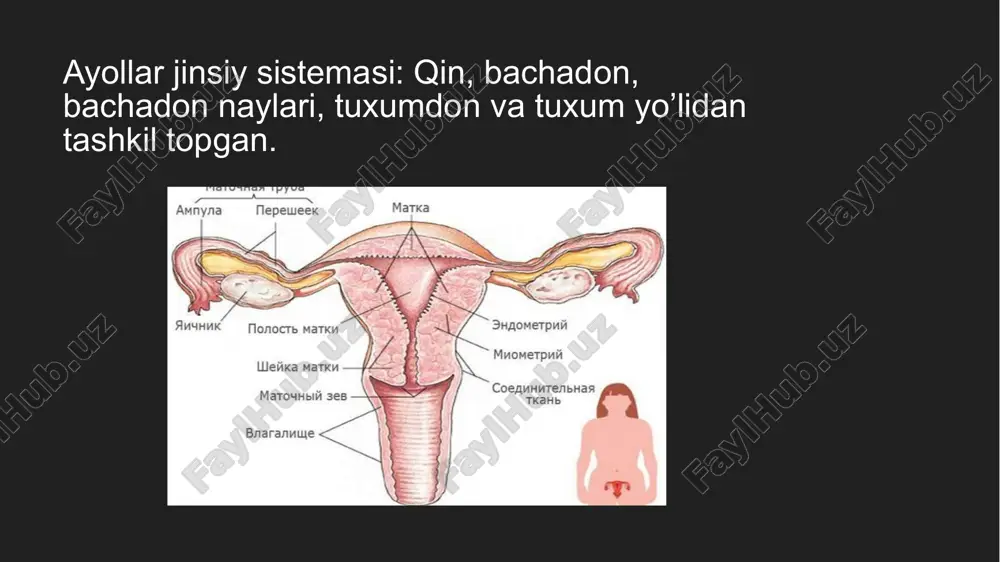 ayollar reproduktiv tizimi a’zolarining nur tashhislash usullari - Page 2