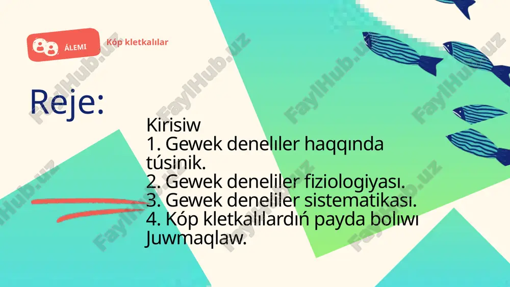 . askon, sikon yamasa leykon tipinde dúzilgen. tiykarǵı túrleri sycon, leucon tuxımlarına kiredi. calcispongia klası hyalospongia klası food and jobs from fish shiyshe tárizli skeletli gewek deneliler (hyalospongia) klası. úlkenligi 50 sm ge shekem, teńizlerdiń tereń bóliminde jasawshı haywanlar. denesi tútik tárizli, qalta tárizli, geyde qadaq tárizli yamasa cilindr formada. jeke halda jasawshı túrleri sikonoid formada. kremniy iyneleri úsh kósherli, júdá hár qıylı dúzilgen. kóbinese iyne ushları jabısıp pánjere payda etedi. mezogleyi jaqsı rawajlanbaǵan. euplectella áwladına tiyisli ayırım túrleriniń 1 m jetetuģin cilindr tárizli denesi uzınlıǵı 3 m ge shekem bolǵan iyneden ibarat sabaq járdeminde suw túbine qadalǵan boladı. hyalospongia klası demospongia klası ápiwayı gewekdeneliler (demospongia) klası. kópshilik gewek tárizliler ana úy klasına kiredi. skeleti kremniy yamasa spongiyden yamasa olardıń hár ekewinen ibarat. bul klasqa tiyisli tórt kósherli geweklıler otryadı túrleriniń skelet iyneleri tórt úsh yamasa úsh boladı. olarga iri shar tárizli geodiyalar (geodia) hám qızıl reńli teńiz apelsinleri (tethya) …