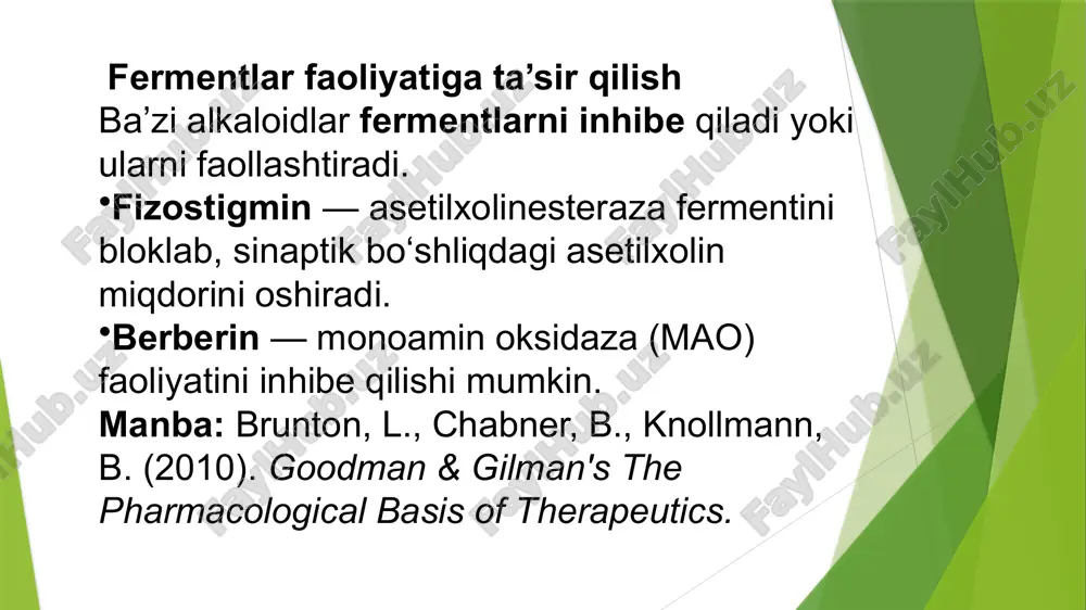bo‘linishini to‘xtatish ayrim alkaloidlar hujayra bo‘linishini to‘xtatish orqali antitumor ta’sir ko‘rsatadi. vinkristin va vinblastin — mikrotubulalar polimerizatsiyasini bloklab, mitozni to‘xtatadi. kamptotesin — dnk topoizomeraza i fermentini inhibe qiladi → dnk replikatsiyasi buziladi. alkaloid reseptor ta’siri morfiy µ-opioid og‘riqni kamaytiradi, sedatsiya atropin muskarinli (m1-m5) antagonist, bronxlarni kengaytiradi nikotin nikotinik markaziy stimulyator ergotamin 5-ht migrenni kamaytiradi fermentlar faoliyatini o‘zgartirish (inhibitsiya/aktivatsiya) ➤ mexanizm: alkaloidlar fermentlar bilan kovalent yoki non-kovalent bog‘lanib, ularning katalitik faoliyatini o‘zgartiradi. ➤ misollar: fizostigmin → asetilxolinesteraza inhibitori → alzheimer kasalligi uchun potensial preparat. berberin → monoamin oksidazani (mao) inhibe qiladi → antidepressant ta’sir. reserpin → vmat (vesikulyar monoamin tashuvchi) ni bloklaydi → simpatik mediatorlar kamayadi. alkaloidlar saqlovchi mashhur o‘simliklar o‘simlik nomi (lotincha) o‘zbekcha nomi asosiy alkaloidi(lar) ta’siri / foydalanilishi papaver somniferum makedoniya ko‘knosasi morfin, kodein, tebain og‘riqni qoldiruvchi, narkotik nicotiana tabacum tamaki nikotin stimulyator, markaziy asab tizimiga ta’sir atropa belladonna belladonna (behi ko‘z) atropin, skopolamin antikolinergik, mushaklarni bo‘shashtiradi cinchona officinalis …