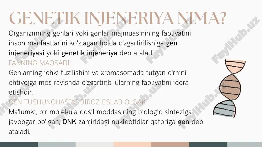 lar. • tuord va d. errel – faglarni zararlangan bakteriyalar ichida ko‘payib ularni o‘ldirishini aniqlashgan. • shu vaqtda mikrobiologlar faglar foydalanib xafli bakteriyalarni zararsizlantirishini umid qilishgan edi. lekin bakteriya hujayrasi spontan mutatsiya sabab faglarga qarshi chidamlilik xossasiga ega bo‘ladilar. genetik transformatsiya, transduksiya va konyugatsiya transformatsiya. ma'lum sharoitda bir organizm irsiy molekulasi har qanday bo'lagining ikkinchi organizm hujayrasiga funksional aktiv holatda ko'chib o'tish hodisasi transformatsiya (o'zgarish) dir. bu jarayon 1928-yil ingliz mikrobiologi f.griffith tomonidan kashf etilgan. transduksiya. ma'lum sharoitda mexsus tuzilishga ega bo'lgan bakteriofag dnk bo'lagining bakteriya xromosomasiga birikishi va undan ajralib chiqish jarayonida bakteriya xromosomasining bir bo'lagini og'ziga biriktirib olib chiqishini transduksiya deb ataladi. bu jarayon n.jinder va z.ledenberg tomonidan 1952- yil, aqsh olimi lvov tomonidan 1953-yil kashf etilgan. konyugatsiya. bakteriyalar o‘rtasida genetik materialning bevosita uzatilishi jarayoni. bu jinsiy ko‘payishga o‘xshash, lekin eukariotlarda bo‘lgani kabi haqiqiy meyoz bilan bog‘liq emas. 1946-yil joshua ledenberg va edward tatum birinchi marta escherichia coli …