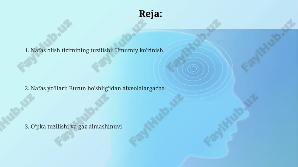 ngiz uchun rahmat @taqdimot_robot image1.png