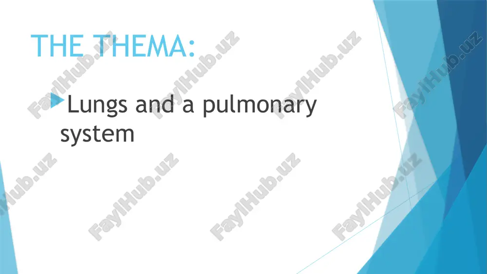 ortly above the level of the sternal end of the first rib. the lungs stretch from close to the backbone in the rib cage to the front of the chest and downwards from the lower part of the trachea to the diaphragm thank you image1.png image2.png /docprops/thumbnail.jpeg