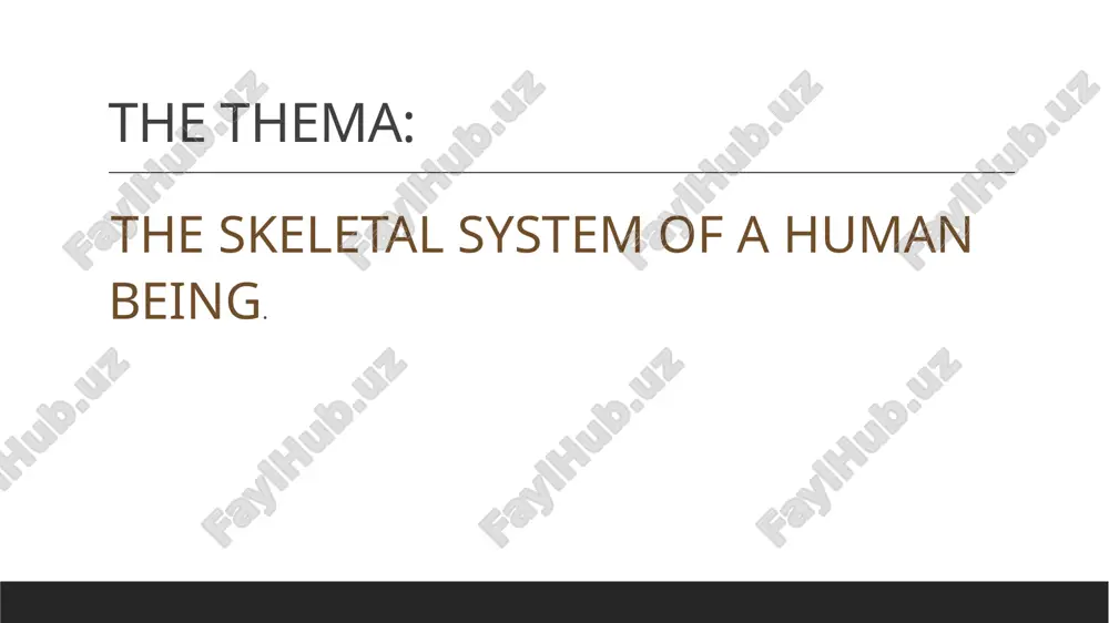 t of the human body. in this slide, we will examine the scientific aspects of the human skeleton. thank you image1.jpeg image2.png image3.png