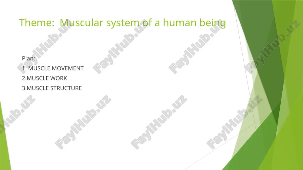expanding its drug discovery efforts to address defects in energy metabolism with new therapies. by doing so, we aim to address muscle dysfunction in a more wholistic and comprehensive manner. a whole skeletal muscle is considered an organ of the muscular system. each organ or muscle consists of skeletal muscle tissue, connective tissue, nerve tissue, and blood or vascular tissue. skeletal muscles vary considerably in size, shape, and arrangement of fibers. they range from extremely tiny strands such as the stapedium muscle of the middle ear to large masses such as the muscles of the thigh. some skeletal muscles are broad in shape and some narrow. in some muscles the fibers are parallel to the long axis of the muscle; in some they converge to a narrow attachment; and in some they are oblique. each skeletal muscle fiber is a single cylindrical muscle cell. an individual skeletal muscle may be …
