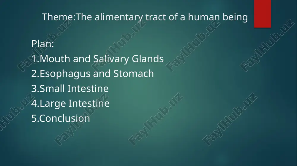 ed as feces. photo by sergio arteaga on unsplash slide 6: conclusion the digestive system is a complex and essential part of the human body, allowing us to obtain the nutrients we need from the food we eat. understanding its processes and functions can help us make informed choices about our diet and overall health. photo by kelly sikkema on unsplash thank you! image6.jpg image7.jpg image8.jpg image9.jpg image10.jpg image2.png image3.png image4.png image5.png /docprops/thumbnail.jpeg