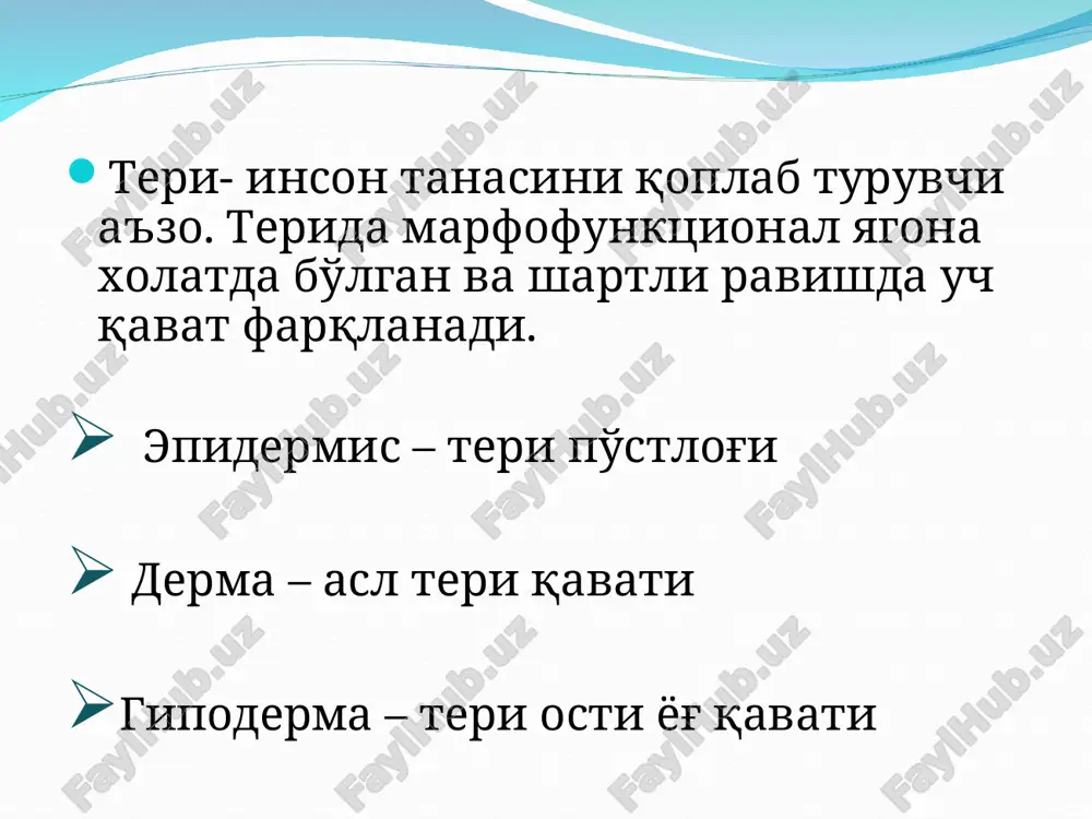 teri-inson tanasini qoplab turuvchi a'zo - Page 2