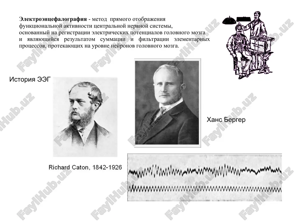 mplituda 30-40 mkv, obichno modulirovan v veretena. 3. beta-volna - odinochnoe dvuxfazovoe kolebanie potentsialov dlitelnostyu menee 75 ms. i amplitudoy 10-15 mkv (ne bolee 30). 4. beta-ritm - ritmicheskoe kolebanie potentsialov s chastotoy 14-35 gts. luchshe virajen v lobno-tsentralnix oblastyax mozga. 5. delta-volna - odinochnoe dvuxfazovoe kolebanie raznosti potentsialov dlitelnostyu bolee 250 ms. 6. delta-ritm - ritmicheskoe kolebanie potentsialov s chastotoy 1-3 gts i amplitudoy ot 10 do 250 mkv i bolee. 7. teta-volna - odinochnoe, chashe dvuxfazovoe kolebanie raznosti potentsialov dlitelnostyu 130-250 ms. 8. teta-ritm - ritmicheskoe kolebanie potentsialov s chastotoy 4-7 gts, chashe dvuxstoronnie sinxronnie, s amplitudoy 100-200 mkv, inogda s veretenoobraznoy modulyatsiey, osobenno v lobnoy oblasti mozga. * funktsionalnoe znachenie sostavlyayushix eeg, primeri: alfa -ritm: "otrajaet reverberatsiyu vozbujdeniy, kodiruyushix vnutrimozgovuyu informatsiyu i sozdayushix optimalniy fon dlya protsessa priema i pererabotki afferentnix signalov. ego rol sostoit v svoeobraznoy funktsionalnoy stabilizatsii sostoyaniy mozga i obespechenii gotovnosti reagirovaniya. predpolagaetsya takje, …