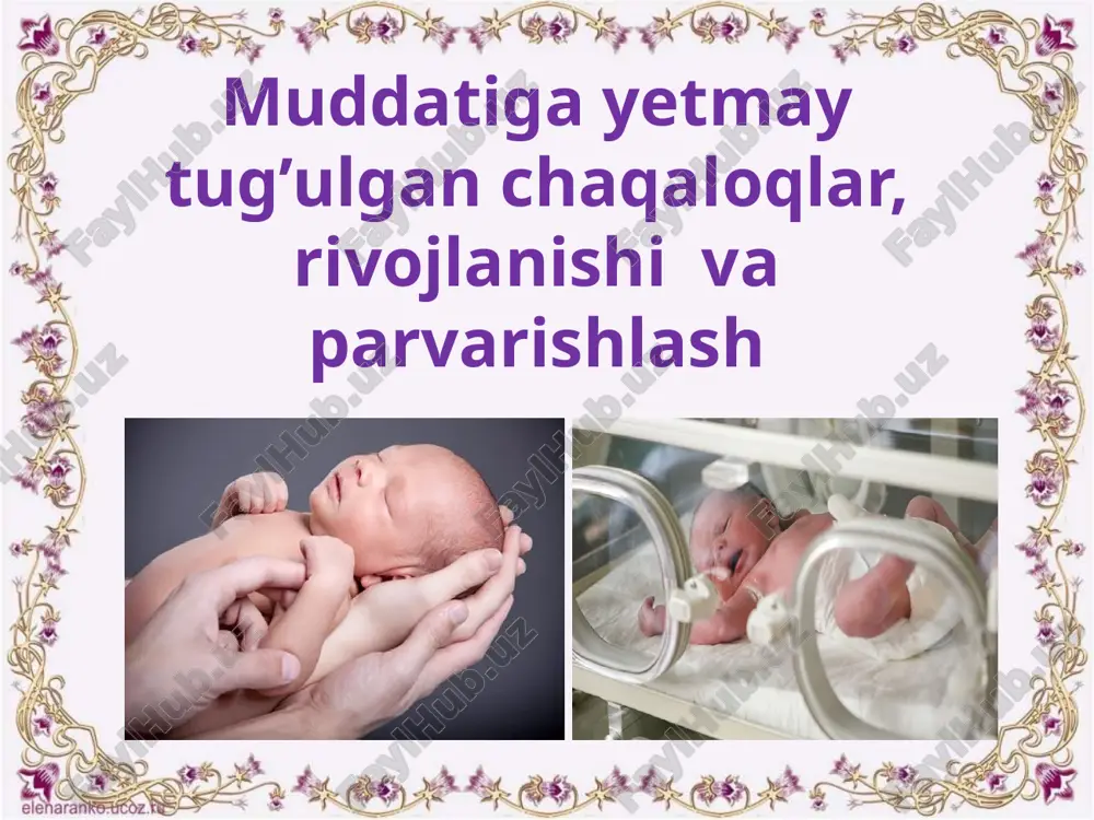 ‘lom tug‘ilganlarda esa kindik qorinning markazida joylashadi. ularning boshi tanasiga nisbatan juda katta, bosh chanog‘idagi birikmalar va kichik liqildoqlar ochiq holatda, katta liqildoq esa o‘lchami kichik, chunki suyaklar to‘liq o‘z joyiga tushmagan bo‘ladi. quloq suprasi juda yumshoq. tirnoqlar esa yupqa, barmoq falangalarini to‘liq qoplamaydi. chala tug‘ilgan qiz bolalarda katta jinsiy lablar kichik lablarni to‘liq qoplamaydi va jinsiy oraliqda qizil rangli tirqishni ko‘rish mumkin, o‘g‘​il bolalarda esa moyaklar yorg‘oqqa tushmagan va yorg‘oqning o‘zi to‘q qizil rangda bo‘ladi. kindikning ajralishi qiyin bo‘ladi va yara ham 8-9 kun ichida bitadi. foto: gettyimages chala tug‘ilgan bolalarda a’zolar tizimi homiladorlik vaqtida to‘liq shakllanmagan va funksional jihatdan yetilmagan bo‘lganligi sababli, tashqi muhitga moslashuvchanlik ham qiyinchilik bilan amalga oshadi. sog‘lom, o‘z muddatida tug‘ilgan bolalar uchun xavf tug‘dirmaydigan kasalliklar, chala tug‘ilganlarda og‘ir kechishi mumkin. chala tug‘ilgan bolalarning asab tizimi bosh miyaning shakllanishi homiladorlikning erta muddatlarida boshlanadi. shuning uchun muddatidan ancha ilgari tug‘ilgan bolalarda ham bosh miya qismlari shakllangan …