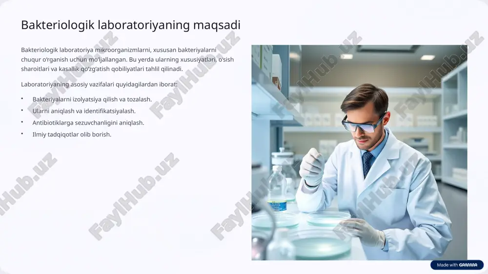 oshqa sanitariya vositalarini kiyadilar. preparatoriya xonasi bakteriyalarni tayyorlash, o‘rganish va tahlil qilish uchun zarur bo‘lgan barcha materiallar, shuningdek, mikroskoplar va boshqa tahlil uskunalari shu yerda joylashadi. bu bo‘limda ishlashda yuqori ehtiyotkorlik va tozalik talab qilinadi. 4 asosiy bo‘limlar: sterilizatsiya va tahlil sterilizatsiya va autoklav xonasi bakteriologik laboratoriyada barcha asbob-uskunalar va jihozlar sterilizatsiya qilinishi zarur. ushbu bo‘limda autoklavlar, sterilizatsiya uchun maxsus qurilmalar joylashgan. mikrobiologik tahlil xonasi bakteriyalarni aniqlash va identifikatsiya qilish uchun ishlatiladigan barcha mikroskoplar, kompyuter tizimlari va laboratoriya apparatlari shu bo‘limda joylashadi. xavfsizlik va chiqindilarni tozalash xonasi bu xonada bakteriyalardan yoki ularning o‘lgandagi qoldiqlaridan tozalanadi va xavfsiz tarzda utilizatsiya qilinadi. bu laboratoriya xavfsizligining muhim qismi. 5 laboratoriya jihozlari: asosiy vositalar bakteriologik laboratoriyada ishlash uchun quyidagi jihozlar zarur: mikroskoplar bakteriyalarni ko‘rish va ularning morfologiyasini o‘rganish uchun. autoklav yuqori harorat va bosim ostida sterilizatsiya qilish uchun. inkubator bakteriyalarni o‘sish va ko‘paytirish uchun optimal sharoitlarni ta'minlaydi. himoya vositalari laboratoriyada xavfsiz ishlash uchun zarur. …