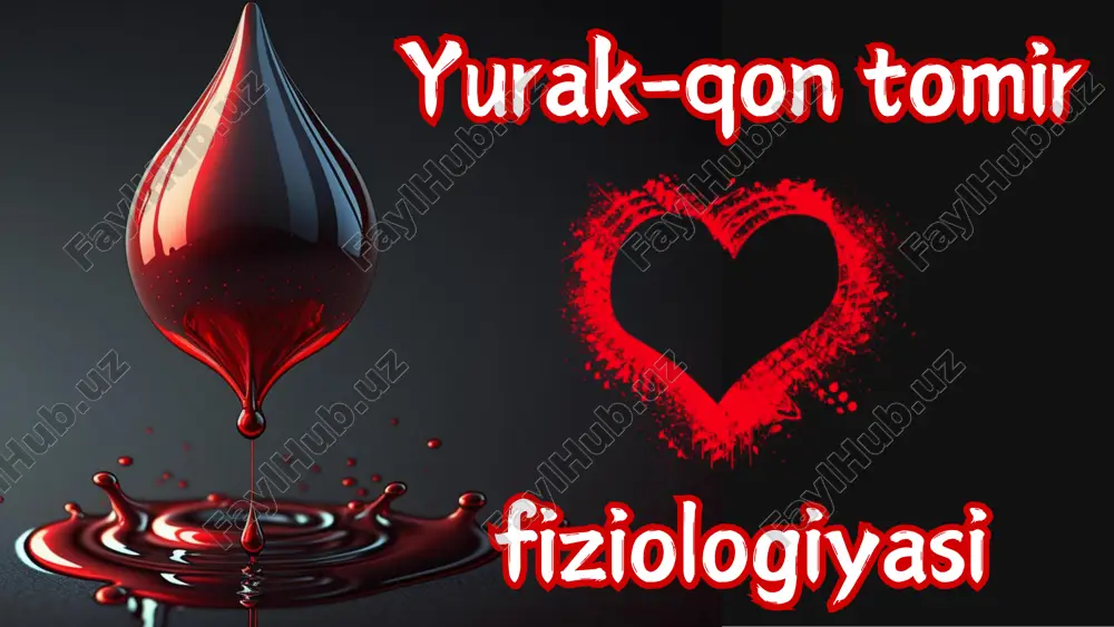 oʻng boʻlmacha kovak venalar oʻng qorincha arterial qon venoz qon 4. oʻpka toʻqimasi 9. organ va toʻqimalar yurak klapanlari • yurakda 4 ta klapan bor: 2 ta atrioventrikulyar klapan, 2 ta yarimoysimon klapan. ❗klapanlarning vazifasi – qonning bir tomonlama harakatini ta'minlashdir. • o‘ng bo‘lmacha va o‘ng qorincha orasida uch tavaqali (trikuspidal) klapan joylashgan. • chap bo‘lmacha va chap qorincha orasida esa ikki tavaqali (mitral) klapan mavjud. • tavaqali klapanlar qorincha tomonga ochiladi va shu paytda qon bo‘lmachadan qorinchaga o‘tadi. • qorinchalar qisqarayotgan vaqtda tavaqali klapanlar yopiladi va shu orqali qonning bo‘lmacha tomonga o‘tib ketmasligini ta'minlaydi. shuningdek, klapanlar yopilgan paytda ularni mahkam ushlab turadi. uch tavaqali (trikuspidal) ikki tavaqali (mitral) soʻrgʻichsimon muskullar trikuspidal klapan xorda iplari papillyar muskullar mitral klapan ochiq mitral klapan yopiq ochiq yopiq boʻshashgan qisqargan mitral klapan xorda iplari soʻrgʻichsimon muskullar qorincha devori • qorinchalar qisqarganda yarimoysimon klapanlar ochiladi, qon aortaga va o‘pka arteriyasiga chiqadi. qorinchalar bo‘shashganda bu …