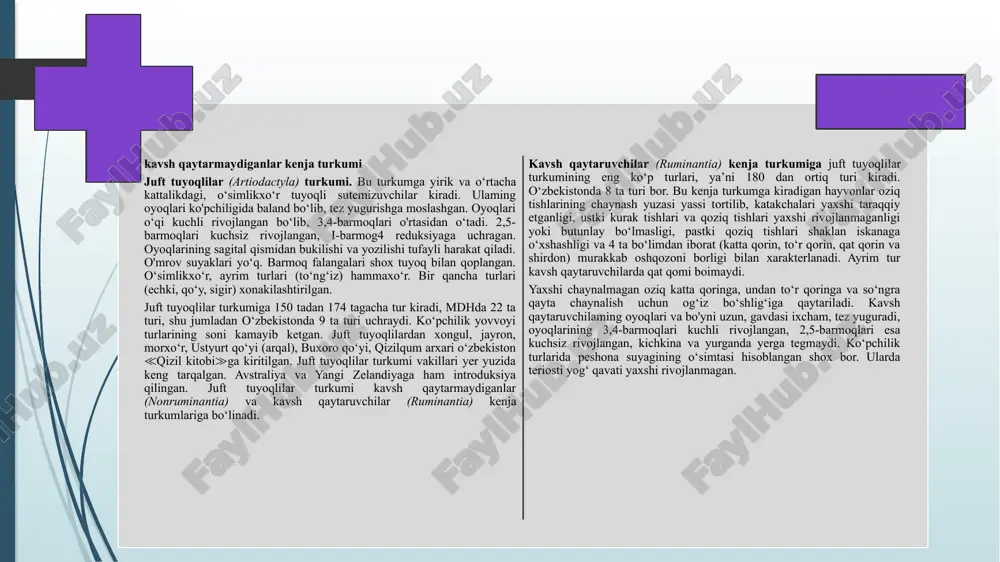 tur kavsh qaytaruvchilarda qat qomi boimaydi. yaxshi chaynalmagan oziq katta qoringa, undan to‘r qoringa va so‘ngra qayta chaynalish uchun og‘iz bo‘shlig‘iga qaytariladi. kavsh qaytaruvchilaming oyoqlari va bo'yni uzun, gavdasi ixcham, tez yuguradi, oyoqlarining 3,4-barmoqlari kuchli rivojlangan, 2,5-barmoqlari esa kuchsiz rivojlangan, kichkina va yurganda yerga tegmaydi. ko‘pchilik turlarida peshona suyagining o‘simtasi hisoblangan shox bor. ularda teriosti yog‘ qavati yaxshi rivojlanmagan. to‘ng‘izlar (suidae) oilasi suv ayg‘irlari (hippopotamidae) oilasiga afrikaning tinch oqadigan va botqoqlashgan suv havzalarida yashaydi. o‘simliklar bilan oziqlanadi. bitta bola tug‘adi. oddiy suv ayg‘iri gavdasi uzunligi 4 -4,5 m, dumi 35-50 sm, balandligi 140-165 sm vaog‘irligi 1 ,3 -3 ,2 1.sm pekarlar (tayassuidae) oilasi kavsh qaytaruvchilar (ruminantia) kenja turkumiga bug‘uchalar (tragulidae) oilasi bug‘ular (cervidue) oilasiga kabargalar (moschidae) oilasiga jirafalar (giraffidae) oilasi juft tuyoqli hayvonlarning ahamiyati va muhofazasi kavsh qaytaruvchilar (ruminantia): bu guruhga sigir, qoʻy, echki, bugʻu, jirafa va boshqalar kiradi. ularning oshqozoni toʻrt kamerali: 1. qatiq oshqozon (rumen): bu eng katta …