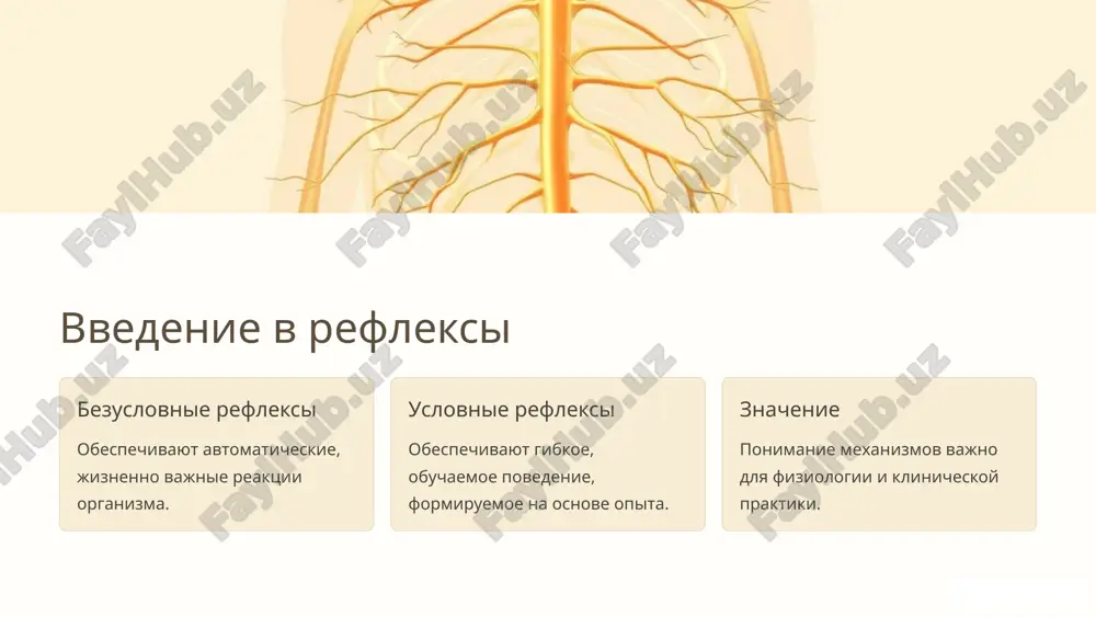 и клинической практики при коррекции нарушений нервной системы. 8 image1.png image2.png image3.png image4.png image5.png image6.png image7.png image8.png image9.png image10.png image11.png image12.png image13.png