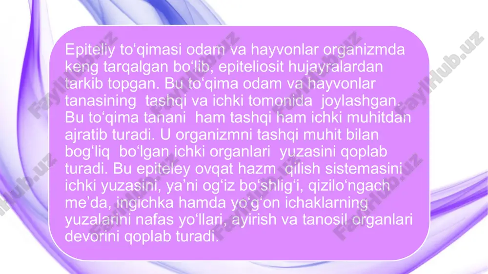 mizuvchi hayvonlarda uchraydigan bir qatorli yassi epiteleyning boshqa epiteleylaridan farqi uning aksariyati tashqi muhit bilan bog‘liq bо‘lmagan organlar yuzasini qoplab turishidadir. bir qavatli epiteley (mezoteley)ni tashkil etuvchi hujayralar sut emizuvchi hayvonlarda va odamda odatda yassi tuzilgan bо‘lib, gistologik preparatlarda yuqori tomondan yaxshi kо‘rinadi. hujayralarining bо‘yi juda past, yuqoridan kо‘rinishi yumaloq yoki ovalsimon bо‘lishiga qaramay chetlari notekis, uzun-qisqa о‘simtalar hosil bо‘lgan bо‘ladi. ayrim ichki organlar ya’ni jigar, taloq, tuxumdon ustini qoplab turuvchi mezoteley hujayralari kubsimon shaklida bо‘lishi mumkin. mezoteley hujayralari kumush tuzini singdirish xususiyatiga ega. shu sababli mazkur buyoq bilan yaxshi bо‘yaladi. kumush tuzi bilan bо‘yalgan mezoteley xujayralarining о‘zi va uning chetlari gistologik preparatda yaxshi kо‘rinadi va yon atrofdagi hujayralardan aniq ajralib turadi. kо‘ndalang kesilgan preparatlarda mezoteley hujayralari ostida bir yо‘nalishda joylashgan bazal membrana yaxshi kо‘rinib turadi. hujayra, odatda, bitta lekin ayrim vaqtlarda 2-3 ta yadroli bо‘lishi mumkin. hujayraning yadro joylashgan joyi balandroq bо‘ladi. vorsinalarning soni ichak epiteleysi vorsinalarining soniga nisbatan …