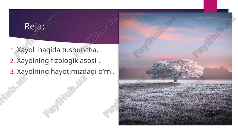 aloqalar yangi uyg‘unliklarining hosil bo‘lishidan iborat. bunda mavjud bo‘lgan vaqtinchalik aloqalarning oddiy holda dolzarblashtirilish yangilikning yaratilishiga olib bormaydi. yangilikning yaratilishi avval bir-biri bilan uyg‘unlashmagan vaqtinchalik nerv aloqalaridan hosil bo‘lgan uyg‘unlikni taqazo etadi. xayol jarayoni ikkila xabarlovchi tizimlarning hamkorlikdagi faoliyatidan iborat. bunda ikkinchi xabar tizimi – so‘z katta ahamiyatga ega bo‘ldi. . barcha ko‘rgazmali obrazlar u bilan uzluksiz ravishda bog‘langandir. so‘z xayol obrazlarining hosil bo‘lish manbai bo‘lib xizmat qiladi, ularning tarkib topish yo‘lini nazorat qiladi, ularni saqlab qolish, mustahkamlash, o‘zgartirish vositasi hisoblanadi. xayol doimo voqelikdan chetga chiqishdir,lekin istalgan vaziyatda xayol manbai – ob’ektiv voqelik hisoblanadi.inson hayotida xayol qator maxsus vazifalarni bajaradi. ulardan birinchisi voqelikni obrazlarda ifodalash va masalalarni hal etishda ulardan foydalanish imkoniyatiga ega bo‘lishdan iboratdir. xayolning bu vazifasi tafakkur bilan bog‘liq bo‘lib, unga organik tarzda kiritilgandir. . xayolning ikkinchi vazifasi emotsional holatlarni boshqarishdan iborat. o‘z xayoli ko‘magida inson qisman bo‘lsada, ko‘pgina ehtiyojlarni qondirish, uning natijasida yuzaga kelgan zo‘riqishni kamaytirishga layoqatli …
