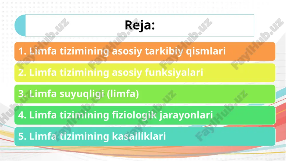 ar. limfa tugunlarida: • b-limfotsitlar: antikorlar ishlab chiqaradi. • t-limfotsitlar: infektsiyalarni to’xtatishda ishtirok etadi. • makrofaglar: yot molekulalarni va infektsiyalangan hujayralarni yo’q qiladi. 3. taloq (splen): taloq qonni filtrlash, eskirgan qizil qon hujayralarini tozalash, immun javobni kuchaytirish va limfa hujayralarini ishlab chiqarishda ishtirok etadi. spleen ikki asosiy funktsiyaga ega: • qon bilan bog‘liq funktsiyalar: eskirgan qon hujayralarini tozalash, yangi hujayralar ishlab chiqarish. • immunologik funktsiyalar: infektsiyalar va yallig’lanishlarga qarshi kurashishda ishtirok etadi. 4. timus: timus – t-limfotsitlarning rivojlanishi va yetilishiga yordam beradi. bu organ limfa tizimining markaziy qismida joylashgan va yangi hujayralar ishlab chiqarishda muhim ahamiyatga ega. 2. limfa tizimining asosiy funksiyalari 1. immunitetni qo‘llab-quvvatlash: limfa tizimi immun hujayralari (limfotsitlar)ni ishlab chiqaradi va organizmga kirgan patogenlar bilan kurashishga yordam beradi. • antikorlar ishlab chiqarish: b-limfotsitlar infektsiyaga qarshi antikorlar hosil qiladi. • yuqori darajada yallig‘lanish va himoya mexanizmlarini faollashtirish: t-limfotsitlar va makrofaglar patogenlarni yo‘q qilishga yordam beradi. 2. tana suyuqliklarining muvozanatini …