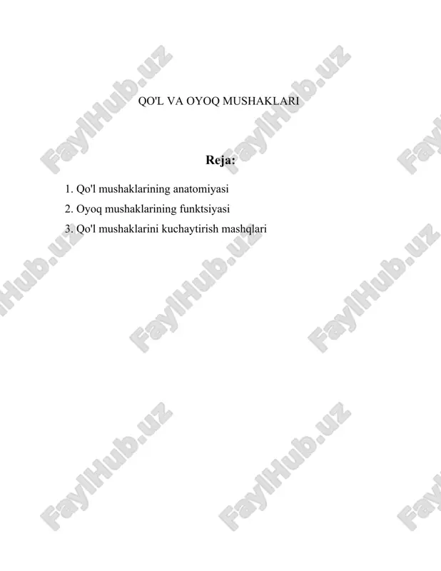 hi mushaklar esa fleksor carpi radialis va fleksor carpi ulnarisni o'z ichiga oladi, bu mushaklar bilak va kaftni egishda hamda yo'nalishni almashtirishda funktsional rol o'ynaydi. pronatorlar orasida pronator teres va pronator quadratus mushaklari mavjud, ular kaft va bilakni burishda asosiy rol o'ynaydi. supinator mushagi esa bilakni tashqi tomonga aylantirishda faol bo'ladi. qo'l mushaklari anatomiyasini yaxshiroq tushunish uchun skelet anatomiyasi ham muhim ahamiyatga ega. qo'l suyaklari qatoridan humerus (yelkadan tirsakkacha), radius va ulna (tirsakdan kaftgacha) suyaklari muhim hisoblanadi. mushaklar bu suyaklarga turli joylarda ulanib, har xil funktsiyalarni bajaradi. qo'l mushaklari bir-biri bilan yaxshi muvofiqlashtirilgan harakatlarni bajarishga imkon beradi. sportchilar, rassomlar, shifokorlar va boshqa ko'plab kasb egalari uchun qo'l mushaklari yaxshi rivojlangan bo'lishi zarur. qo'lning harakatchanligi turli mushaklarning aniq va o'zaro bog'langan ishini talab qiladi. mushaklar anatomiyasi bo'yicha taxminan 20-30% insonlar simmetrik bo'lmagan ish faoliyatida qo'l mushaklarini jalb qilishadi, ya'ni har bir kishi uchun har xil mushak guruhlari turlicha rivojlanishi mumkin. mushaklarning …