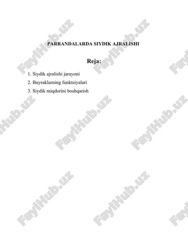 so'rilishi tubulalarda sodir bo'ladi. filtratning taxminan 99%i qayta so'riladi, shu jumladan suvning taxminan 99%, natriyning taxminan 99,5% va glyukozaning deyarli 100%i. bu jarayon orqali organizm energetik va tuz balansi saqlanadi. 5. **tubulyar sekretsiya**: bu jarayon orqali organizmdan chiqarilishi kerak bo'lgan ortiqcha moddalar, shu jumladan ortiqcha vodorod ionlari, kaliy va toksik moddalar, dastlabki filtratga qaytariladi va natijada siydik hosil bo'ladi. 6. **siydik asta-sekin zichlashishi**: distal tubula va yig'uvchi kanallarda o'zgarishlar tufayli siydik o'zining yakuniy shaklini oladi. gormonal nazorat ostida (masalan, antidiuretik gormon va aldosteron) bu jarayon amalga oshadi va suvni tutib turuvchi hamda chiqib ketishi kerak bo'lgan elektrolitlar nazorat ostida bo'ladi. 7. **siydikning saqlanishi va chiqarilishi**: yakuniy siydik buyraklardan siydik yo'liga (ureter) o'tkazilib, u yerlarda siydik qopi (masancha) da to'planadi. masanchada siydik sig'imi taxminan 400-600 ml ni tashkil qiladi. siydik chiqarilish jarayoni markaziy nerv tizimi tomonidan nazorat qilinadi va bu jarayon yashash, organizmning gigienik va ijtimoiy faoliyatiga moslashgan holda boshqariladi. umuman, …